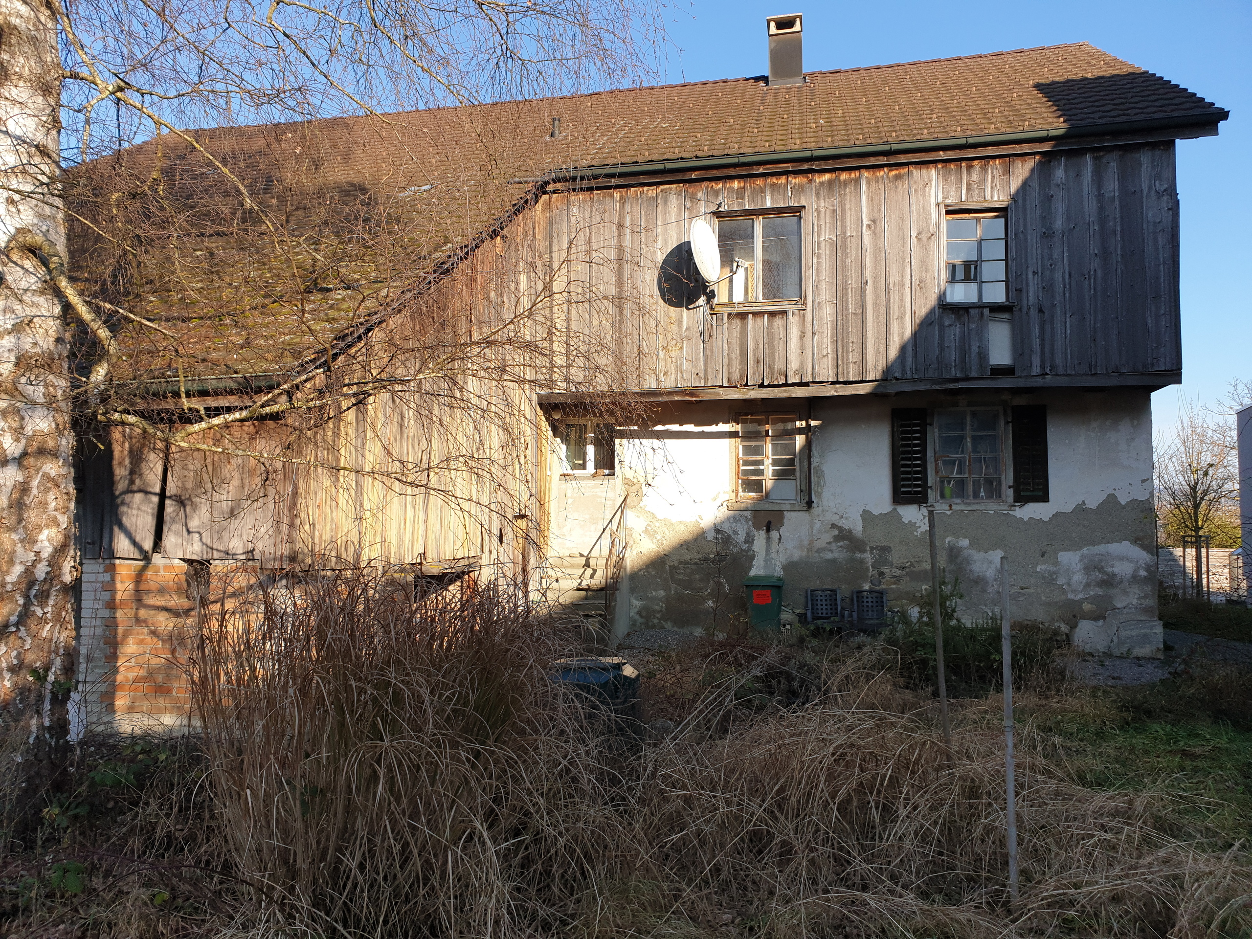 Photo 5