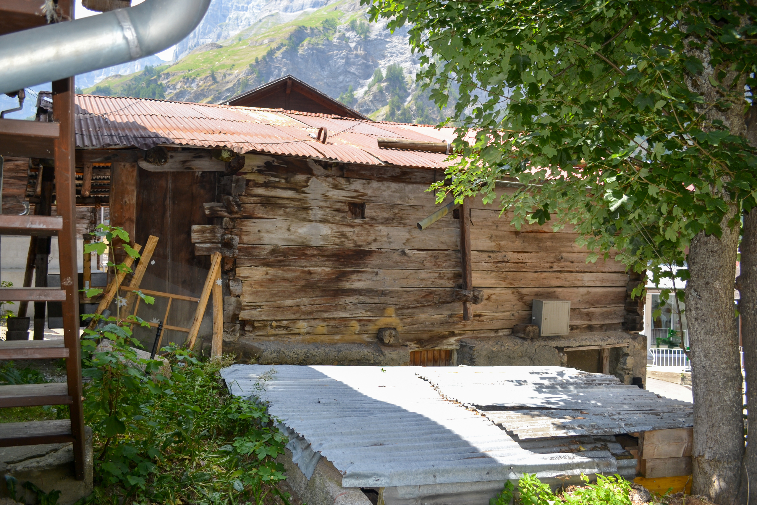 Photo 12