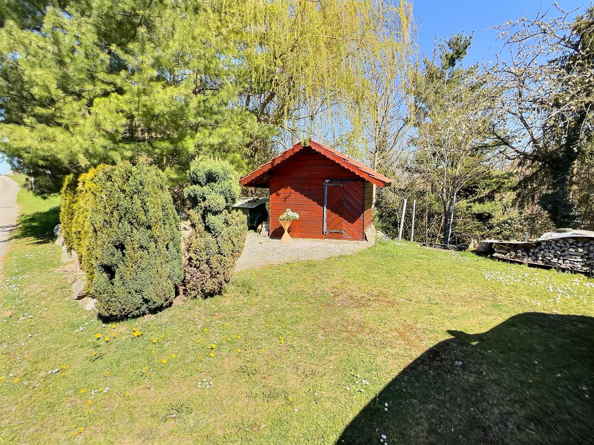 Photo 12