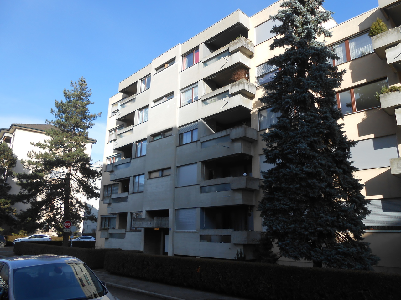 Foto 11