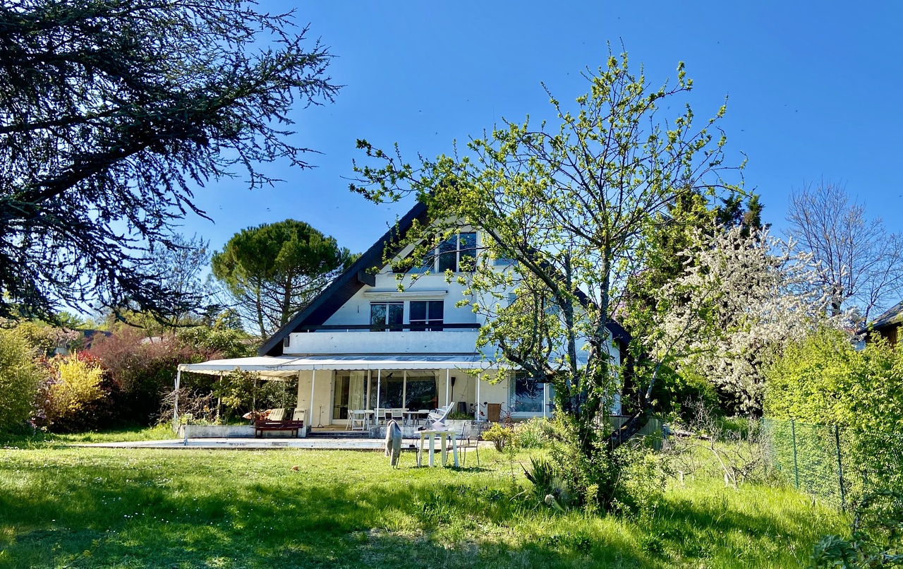 Vue depuis le lac Vue depuis le lac