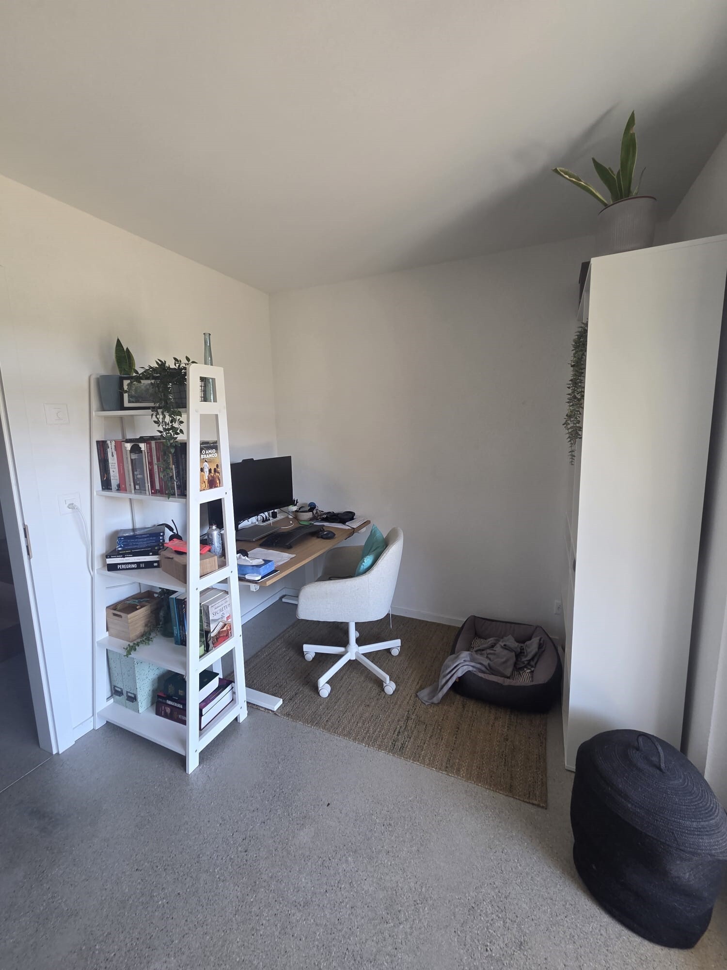 chambre rez 