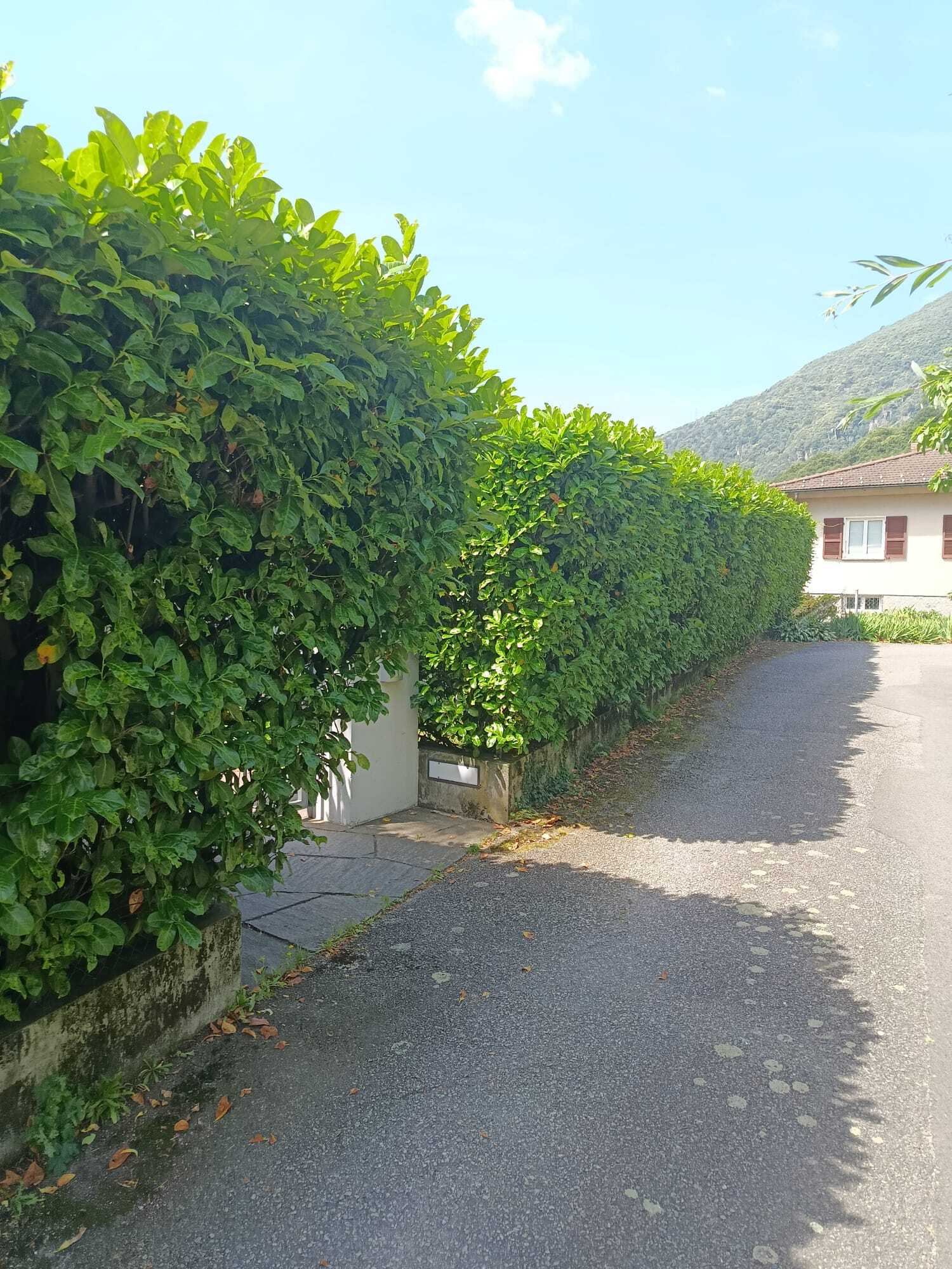 Vista esteriore 10