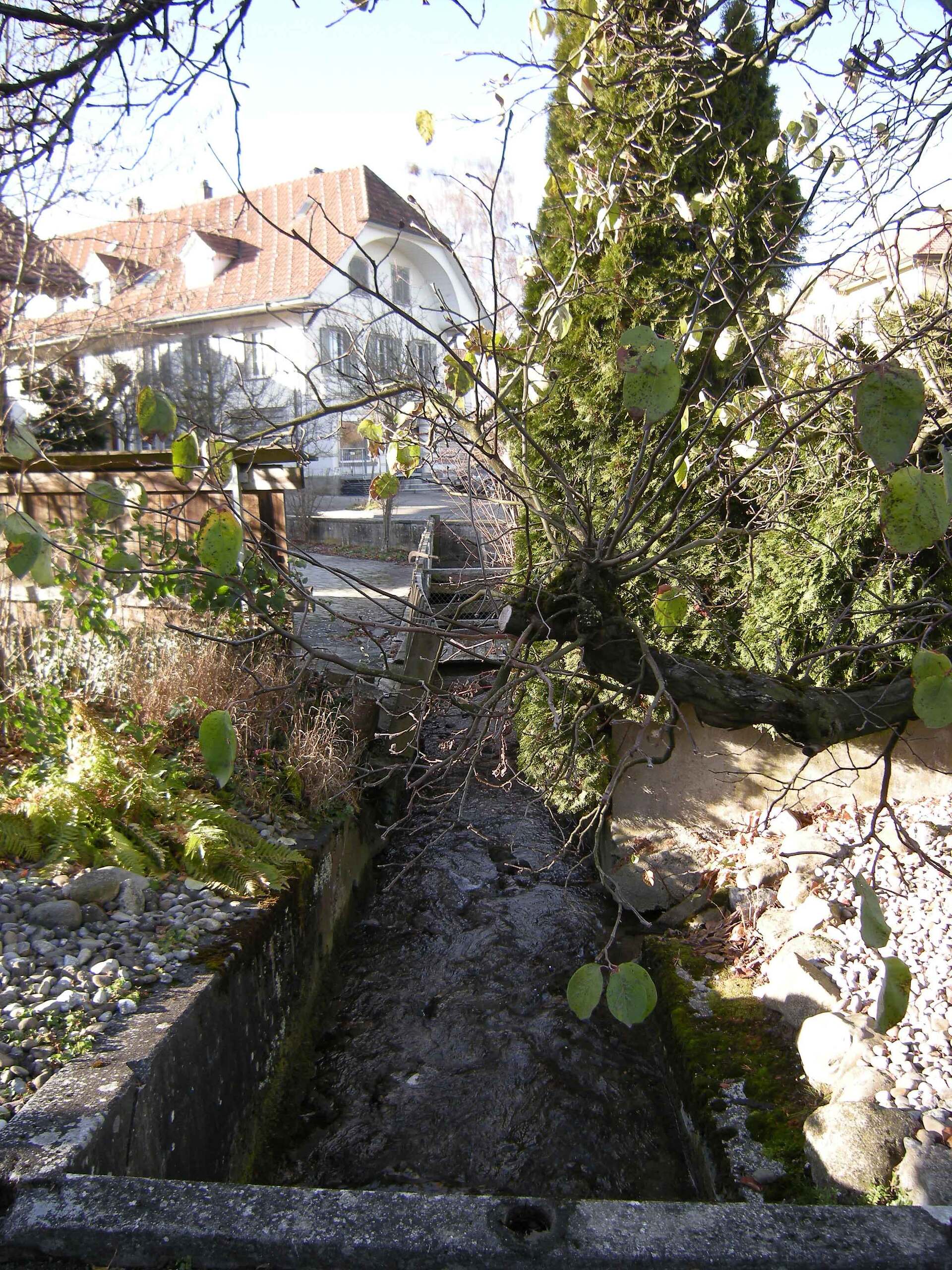 Dieser Bach wird in den nächsten 5 Jahren renaturiert. Dieser Bach wird in den nächsten 5 Jahren renaturiert.