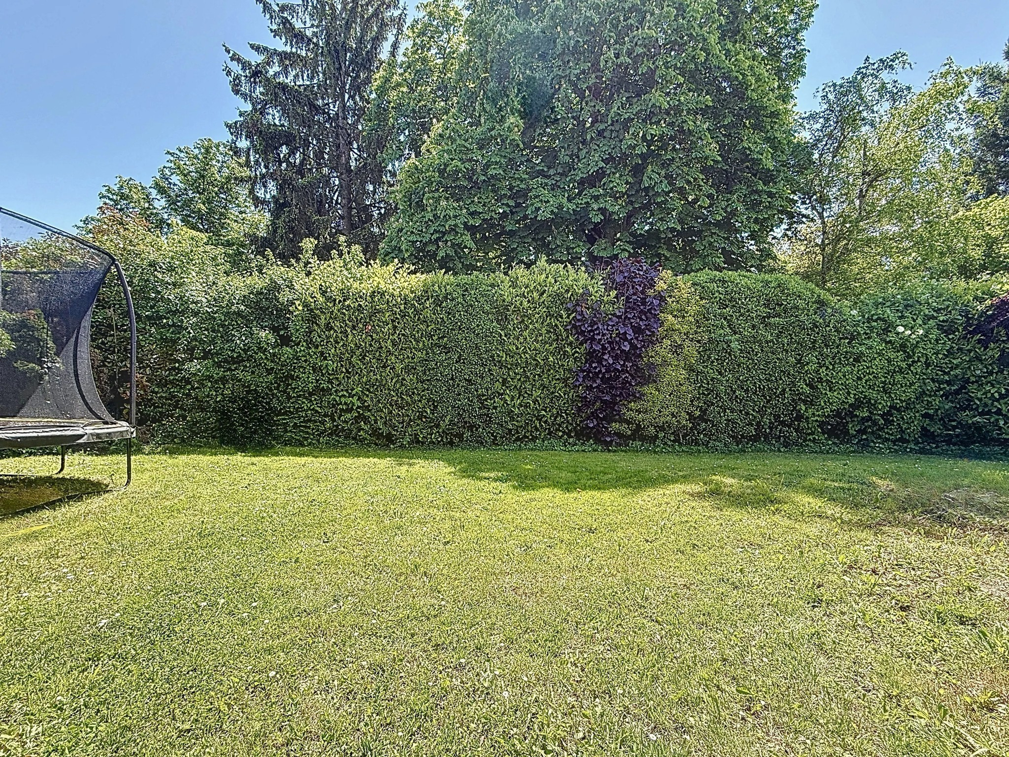 Very intimate garden