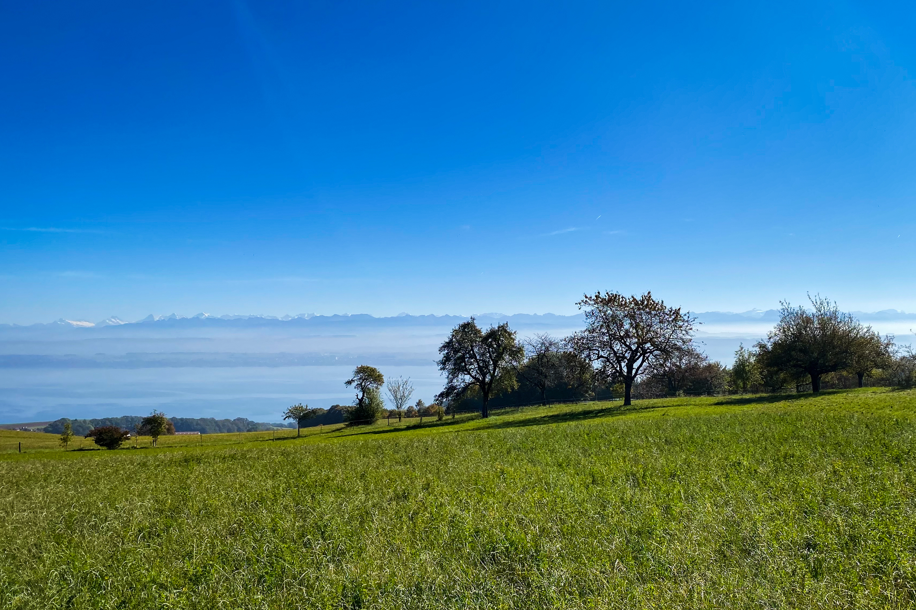 Projet immobilier à Provence avec villas à vendre, panorama