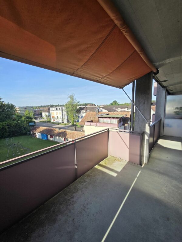 Picture 11