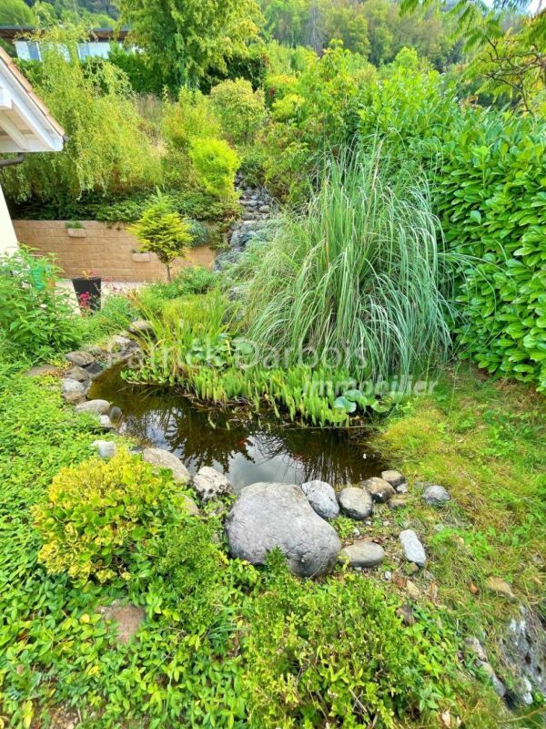 jardin botanique jardin botanique