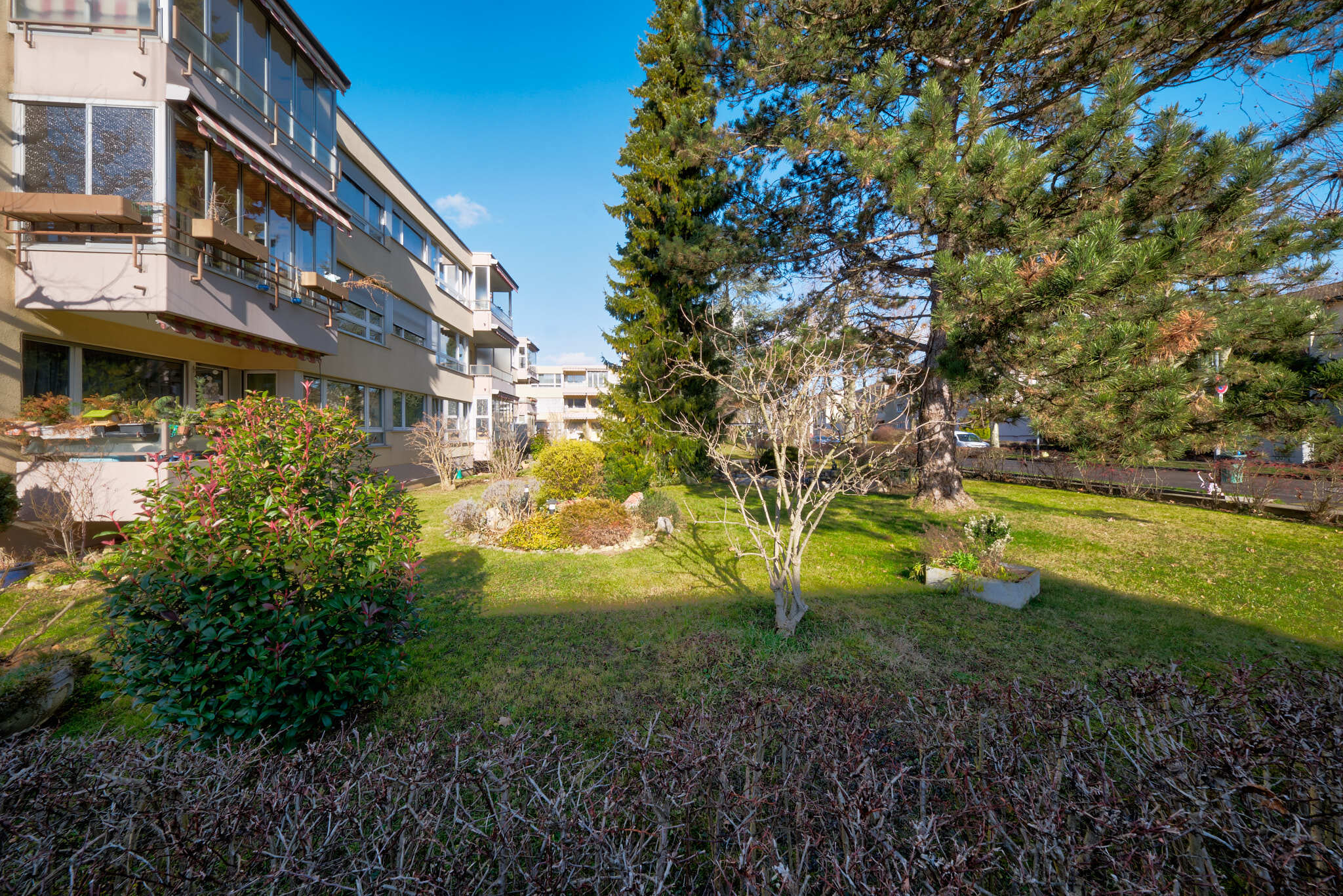 Blick vom Steinbühlweg in den Garten