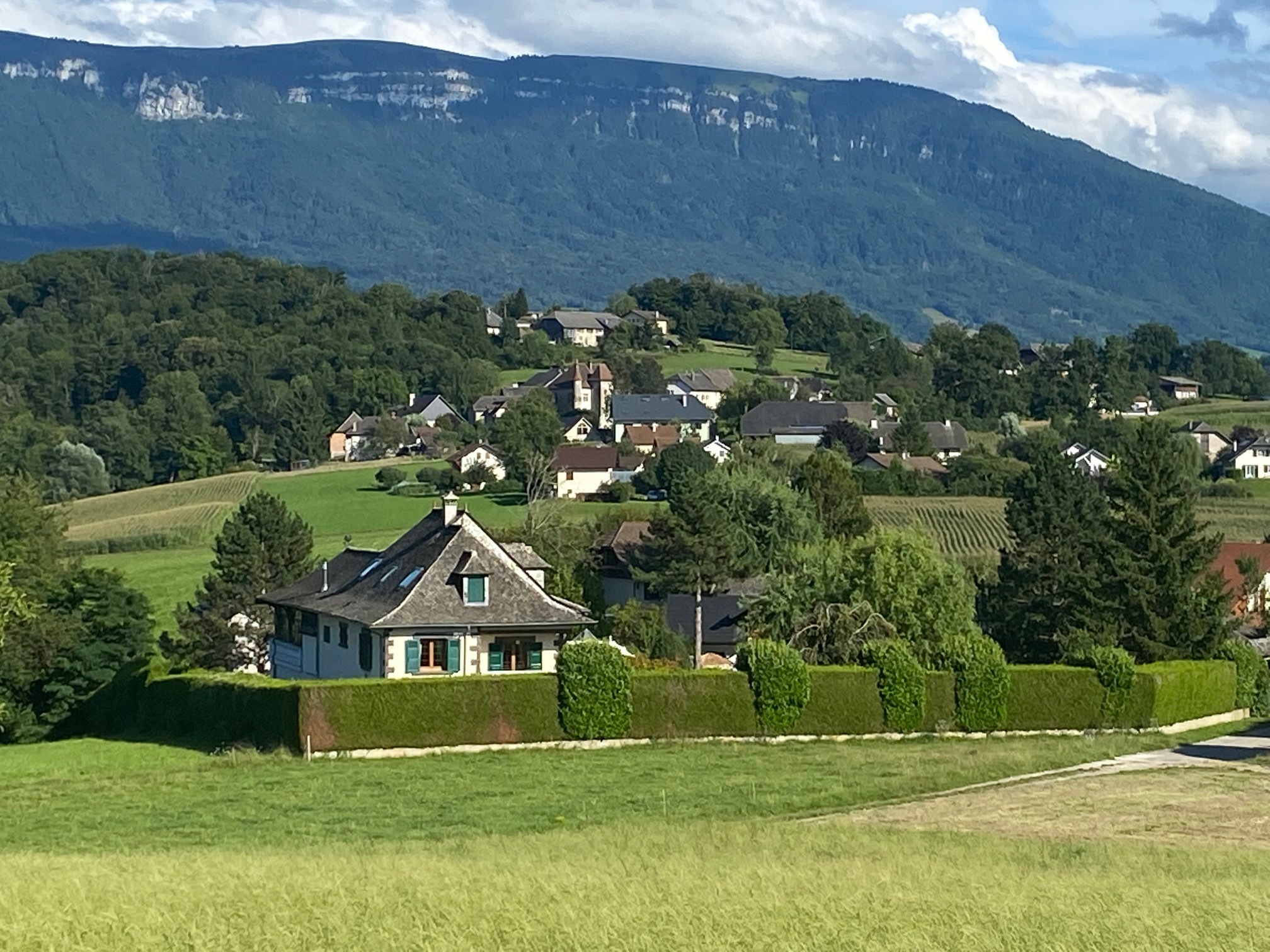 Foto 5