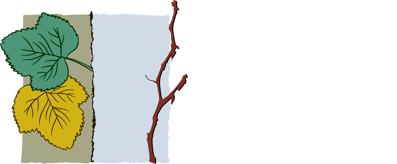 Accueil | Cardis SA