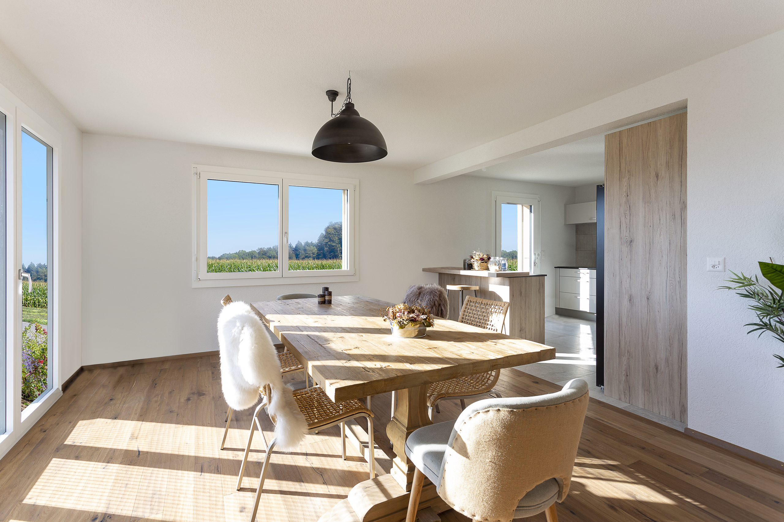 Séjour/cuisine - Non contractuel