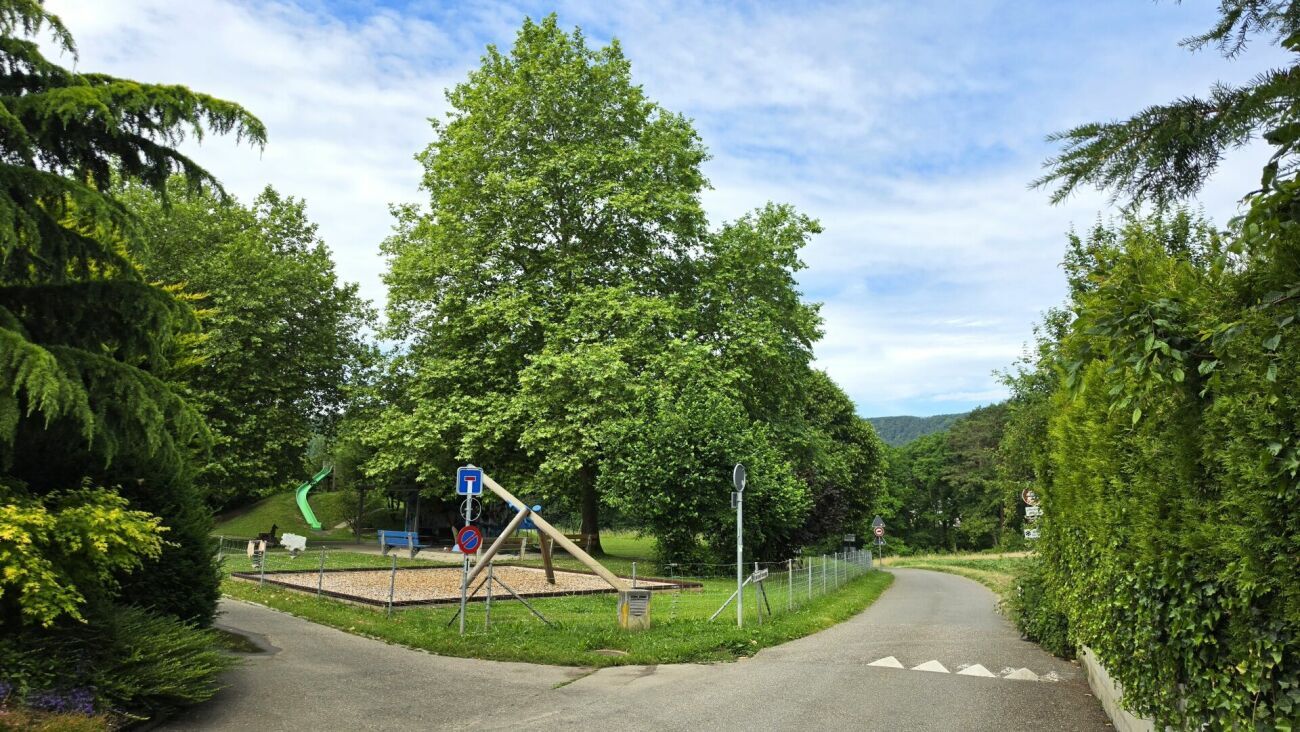 Foto 19