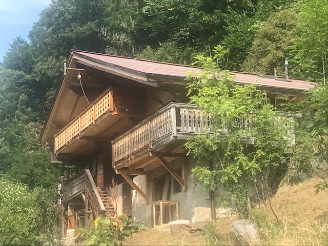 Firstview