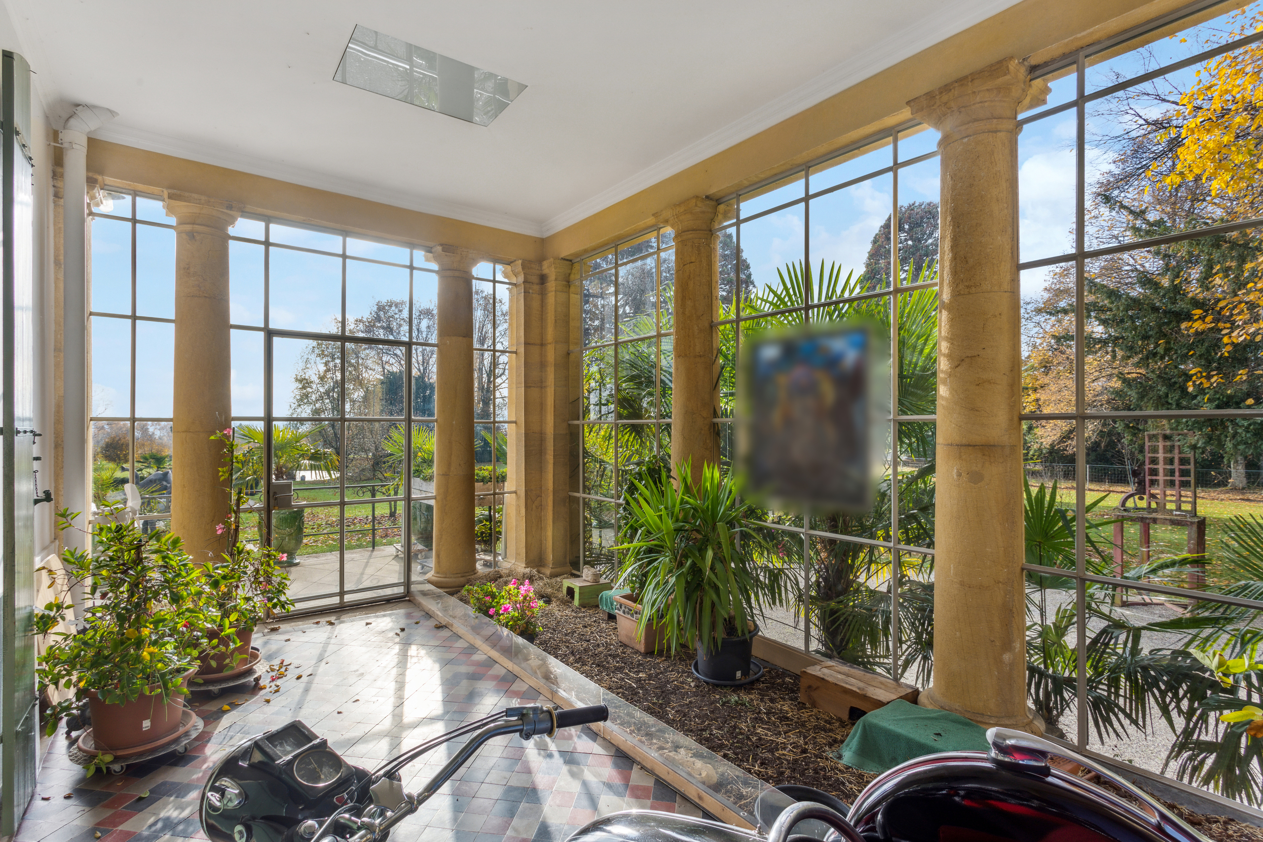 Winter garden Winter garden