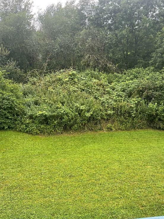 extérieurs extérieurs