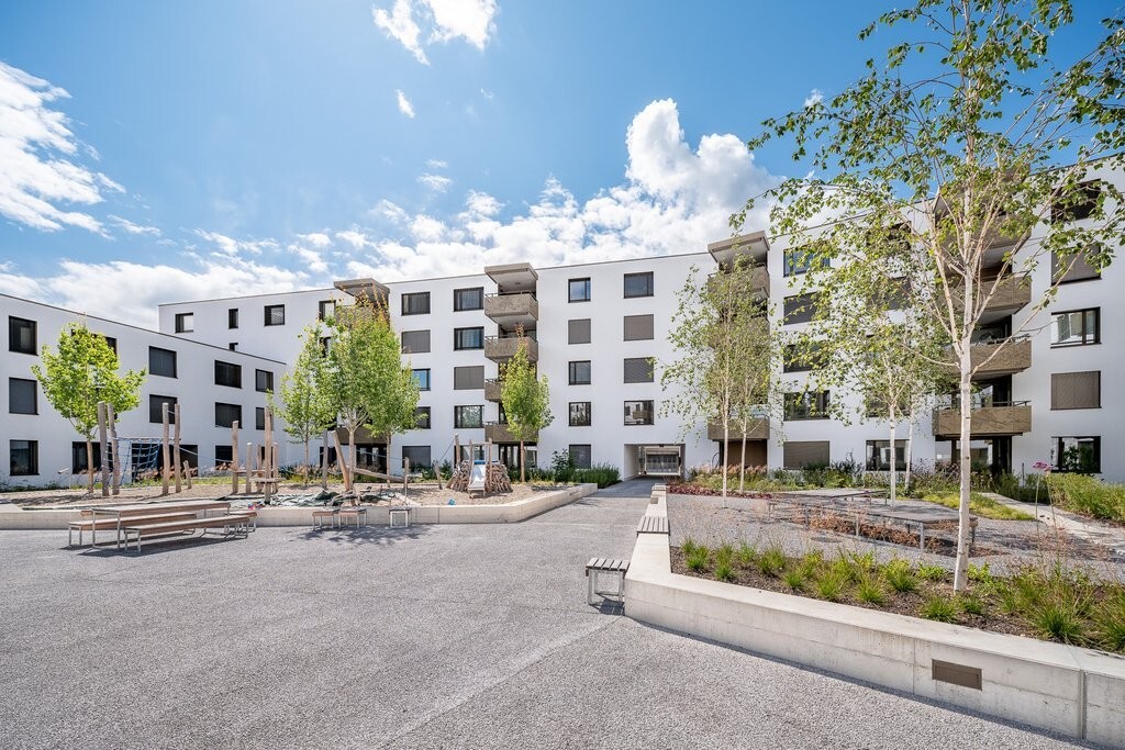 Immagine di copertina 1