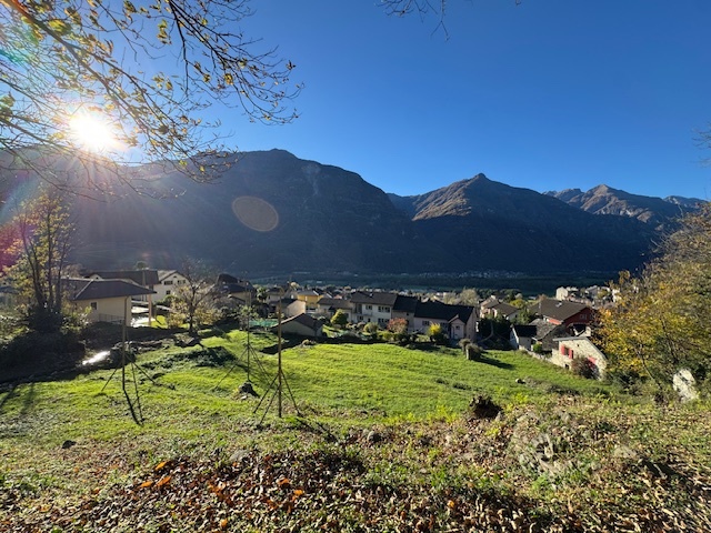 Immagine di copertina