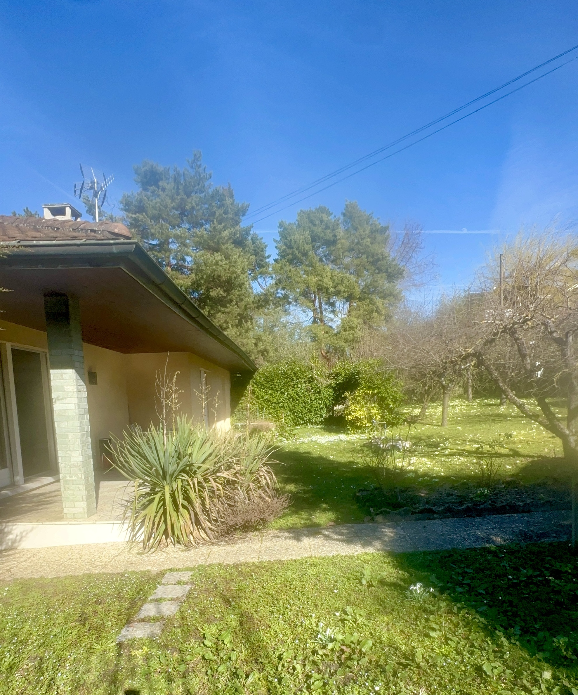 la cour arrière d'une maison