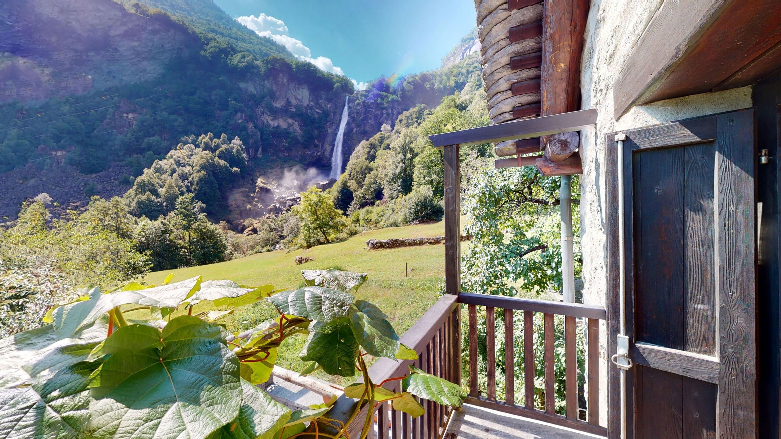 Immagine di copertina