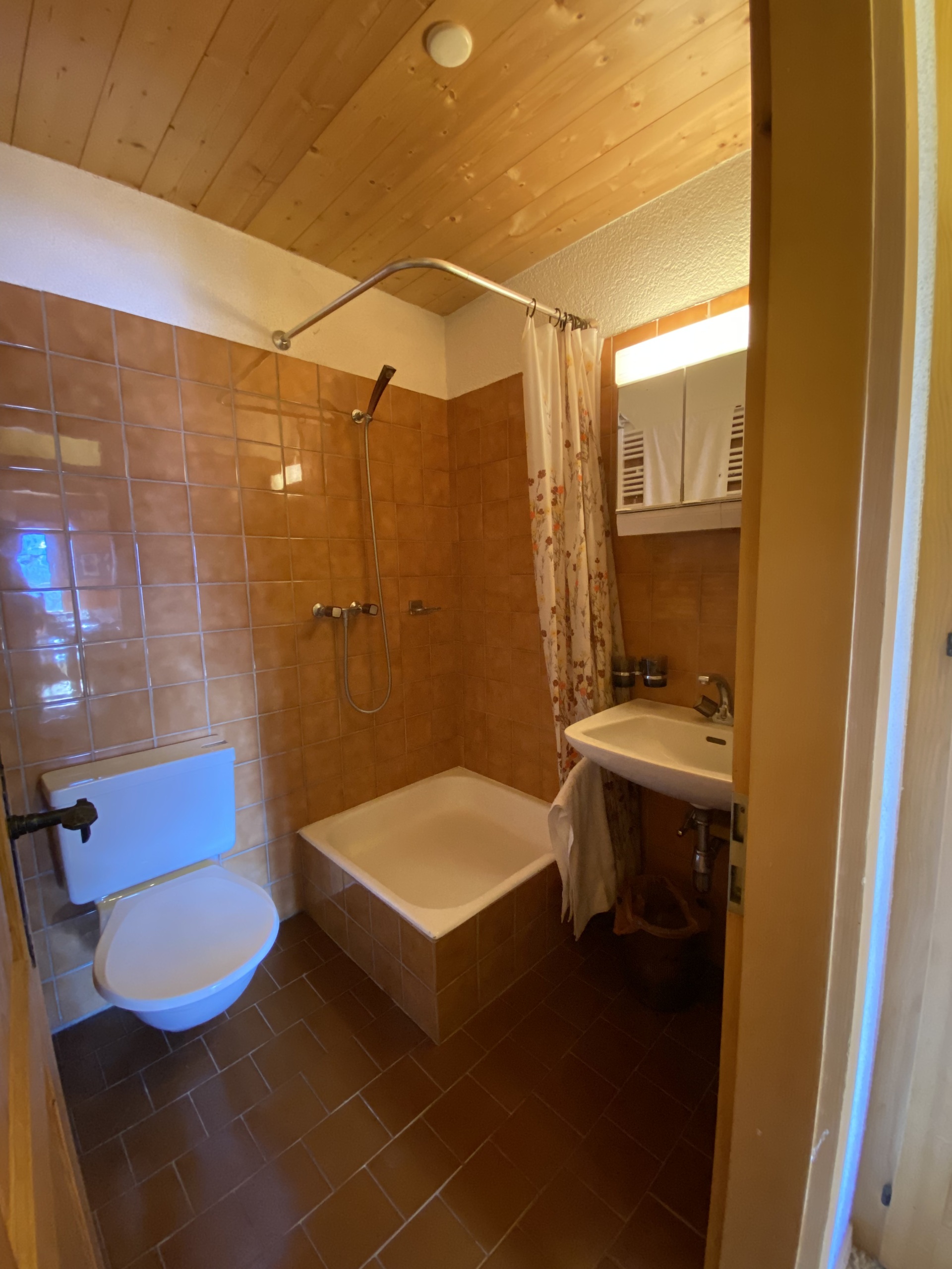 Salle de douche sous-sol Salle de douche sous-sol