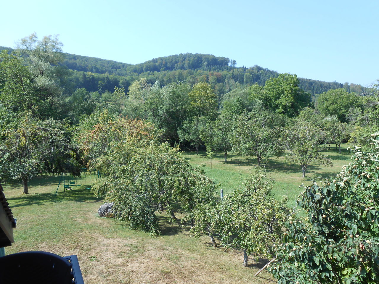 Photo 27