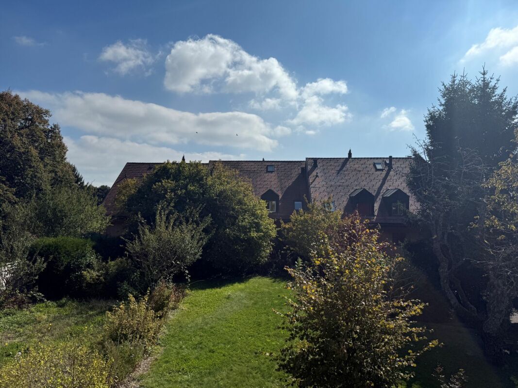 Immagine di copertina 4