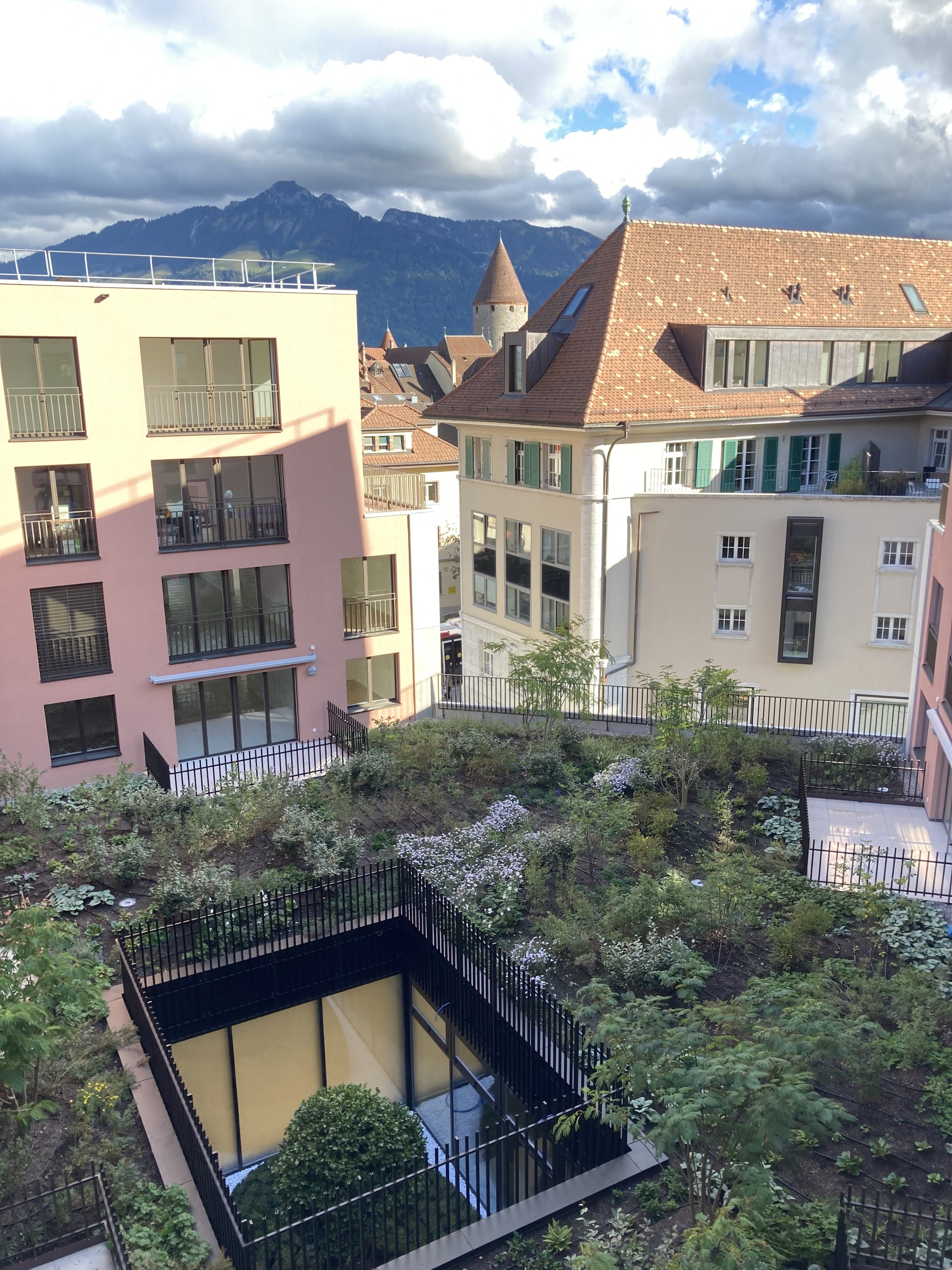 Immagine di copertina