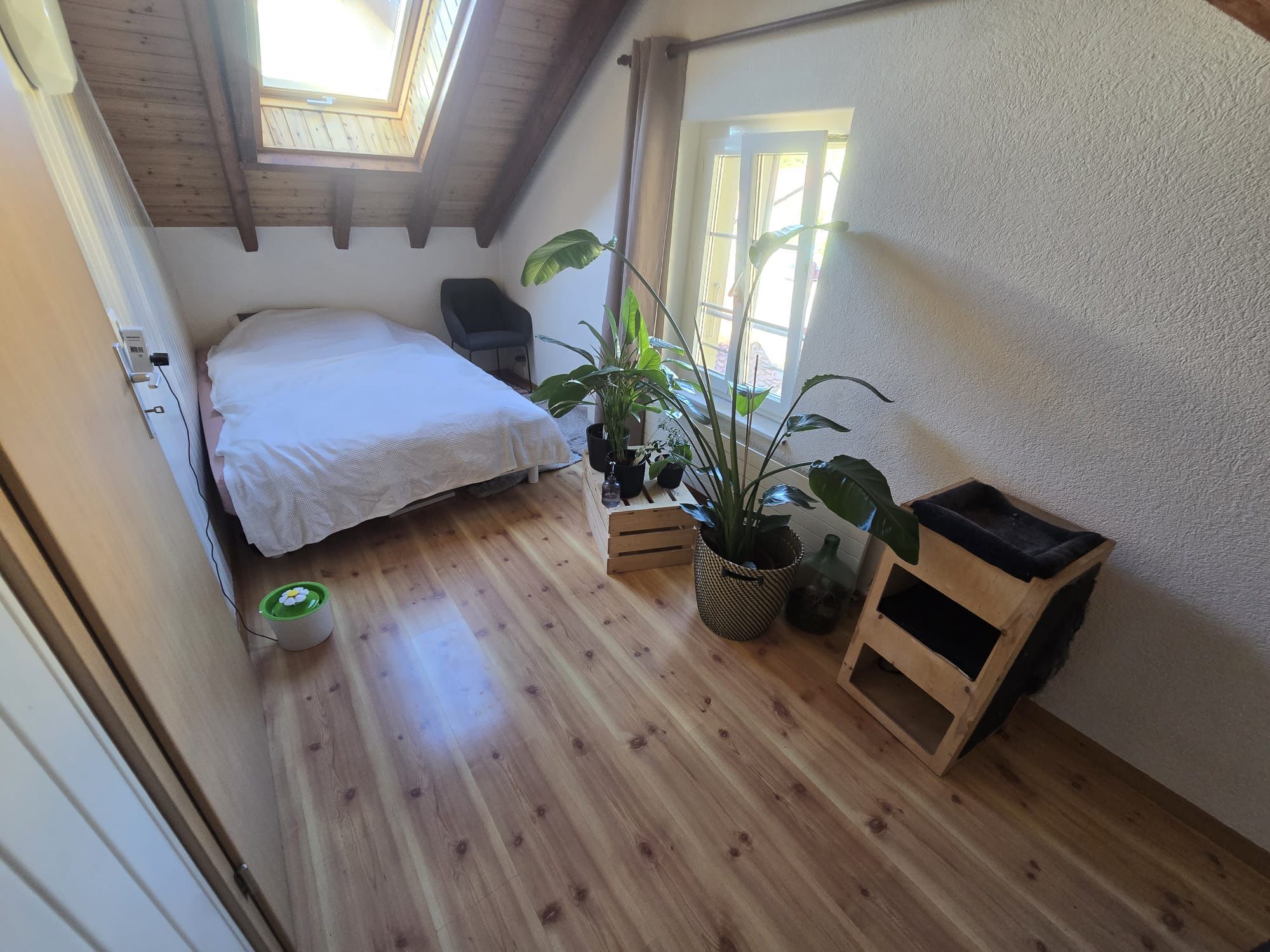 Photo 5