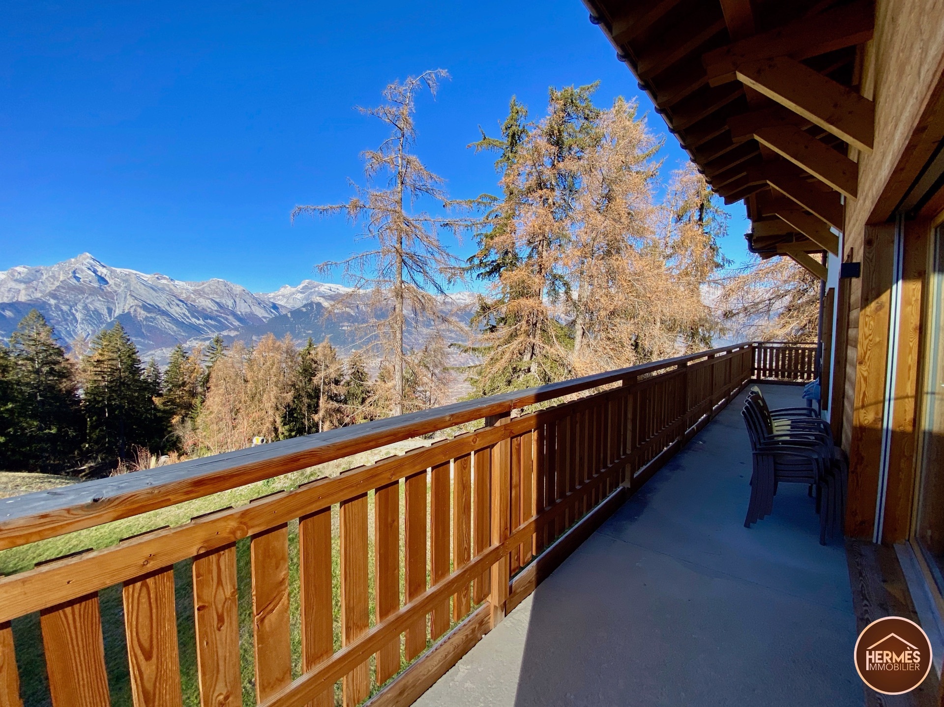 Immagine di copertina 2