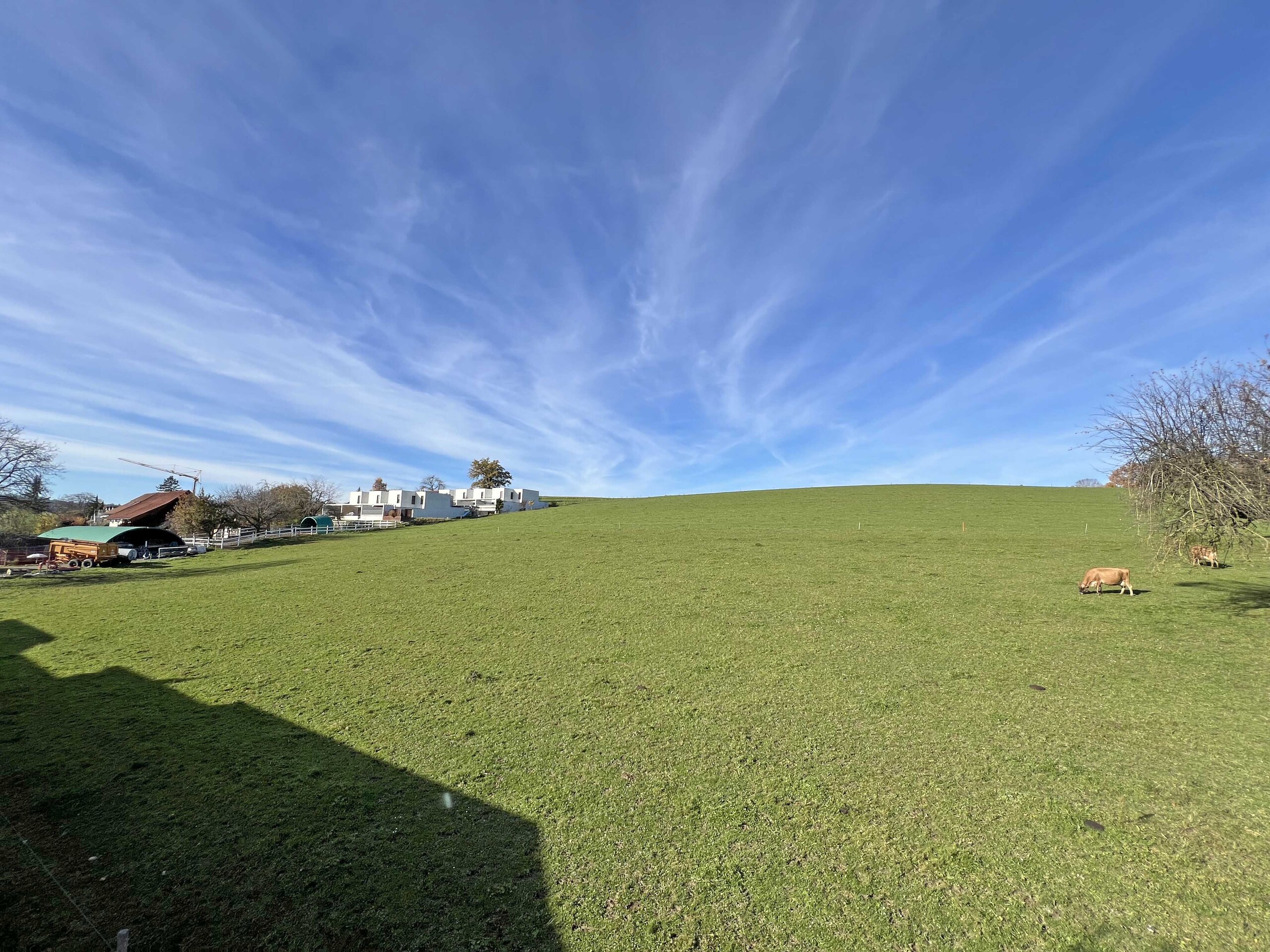 Vue depuis séjour - Lot 10