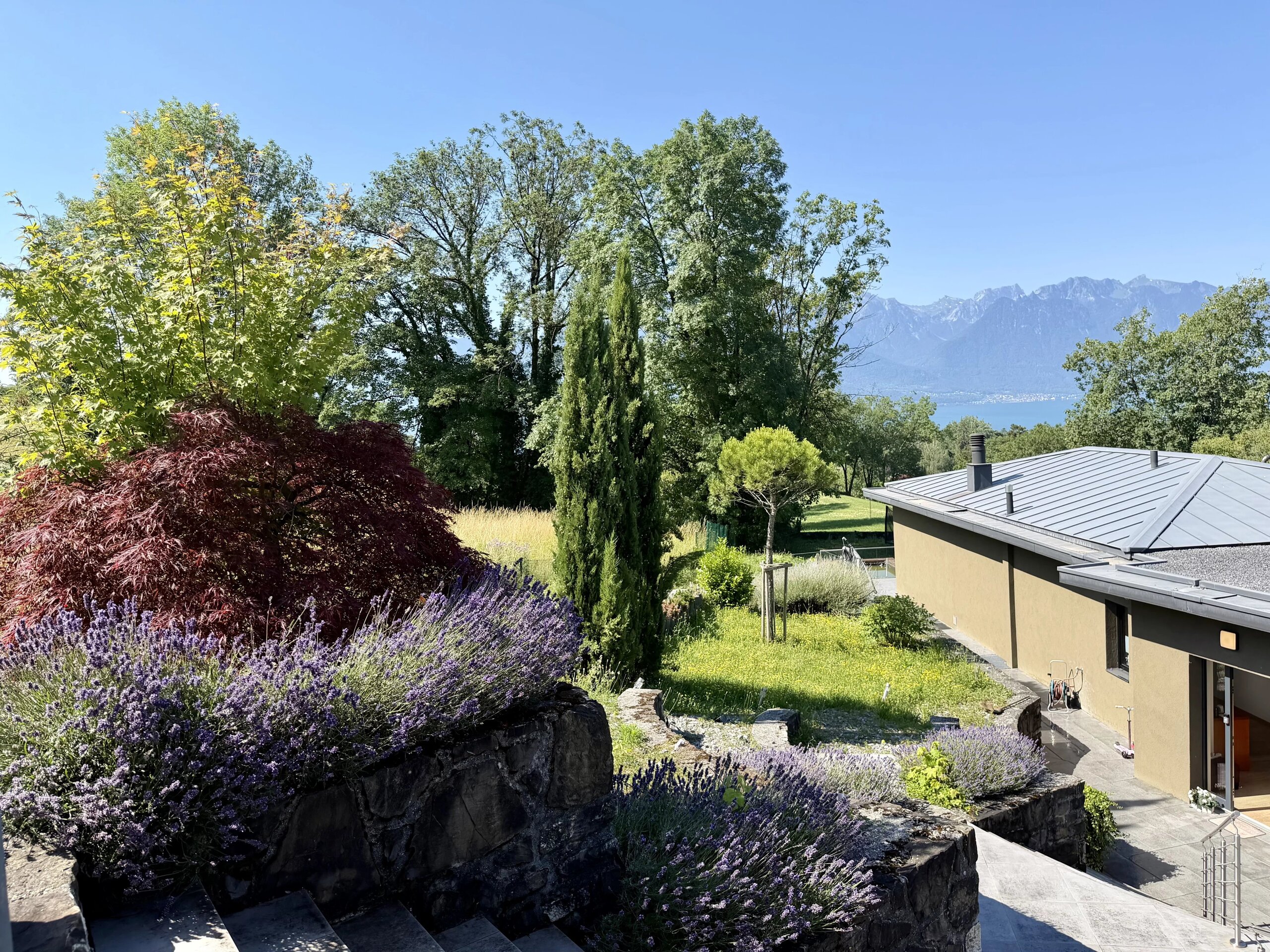 Foto 13