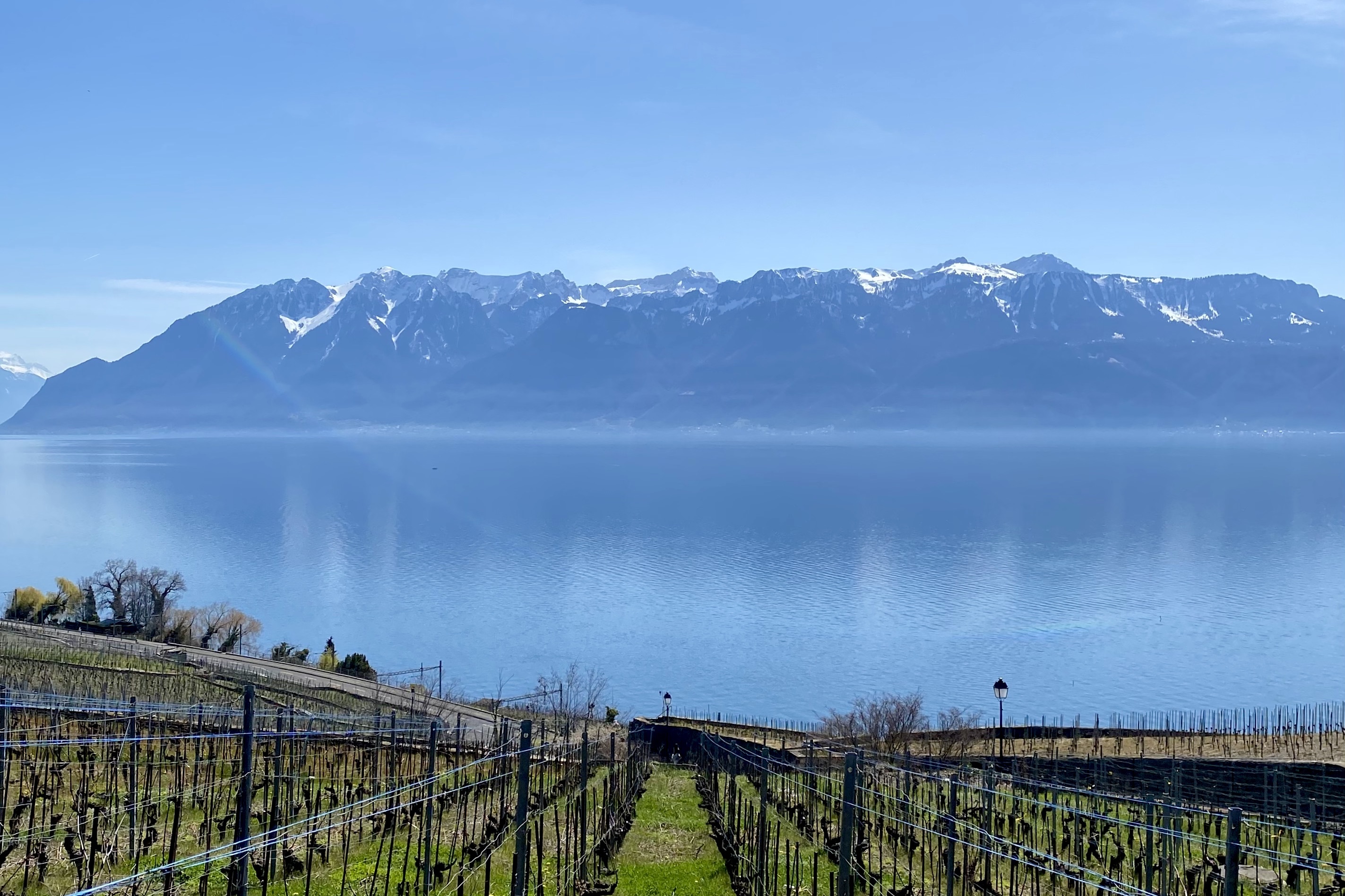 Projet immobilier à Grandvaux, panorama du Lavaux