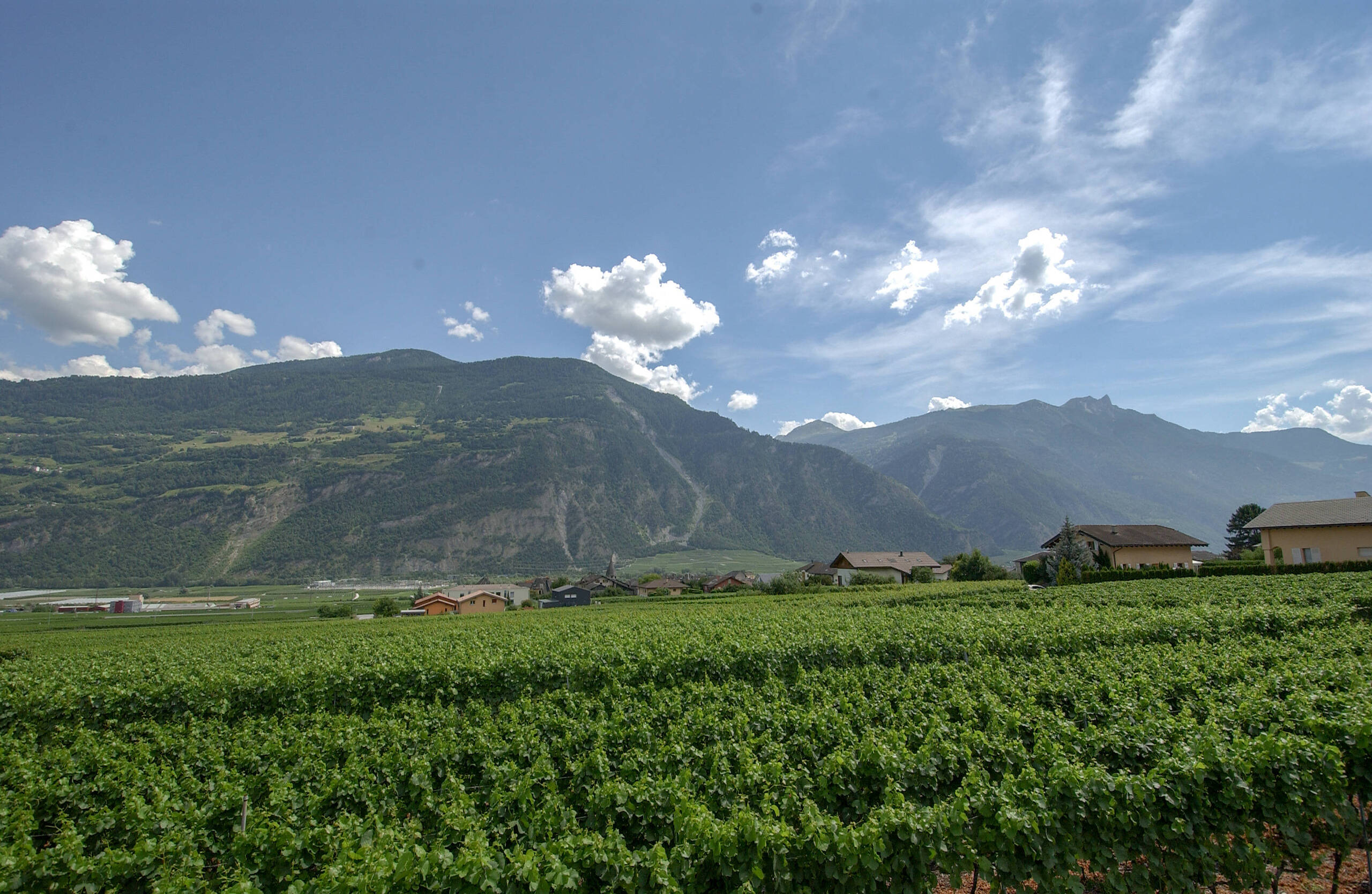 Premier coup d'oeil 4