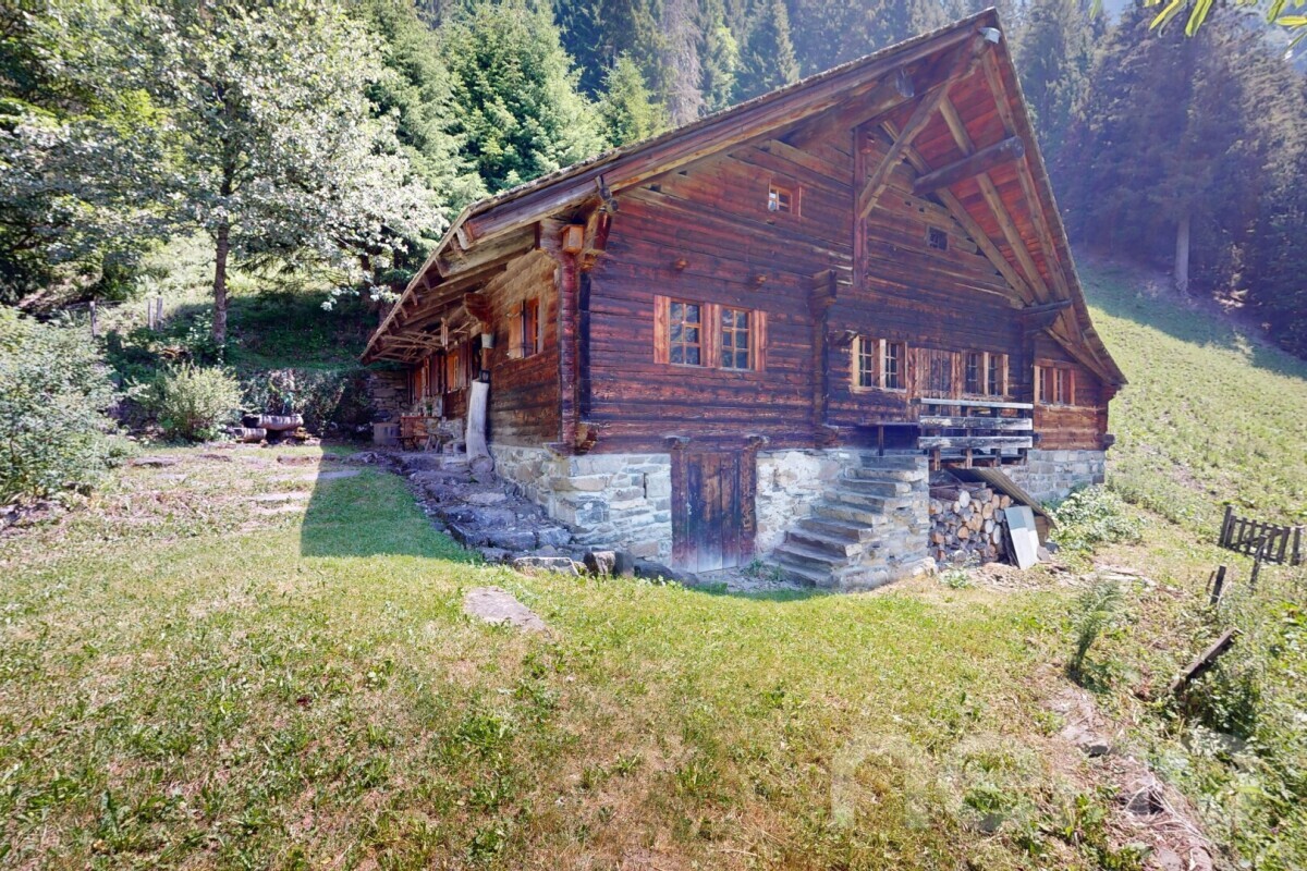 Picture 4