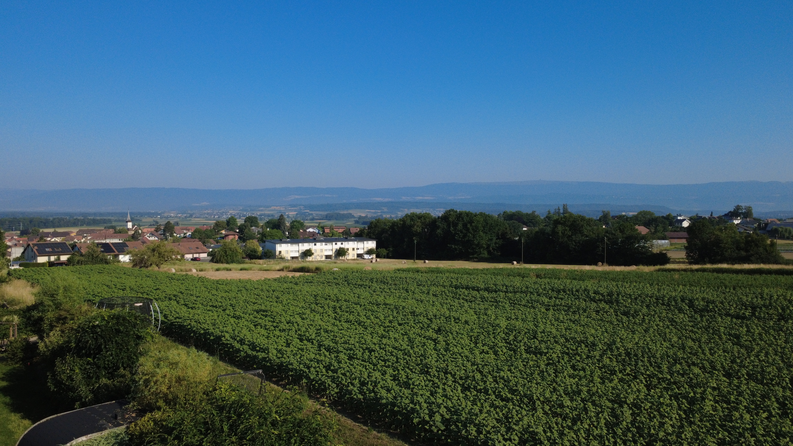 Vue vers le nord