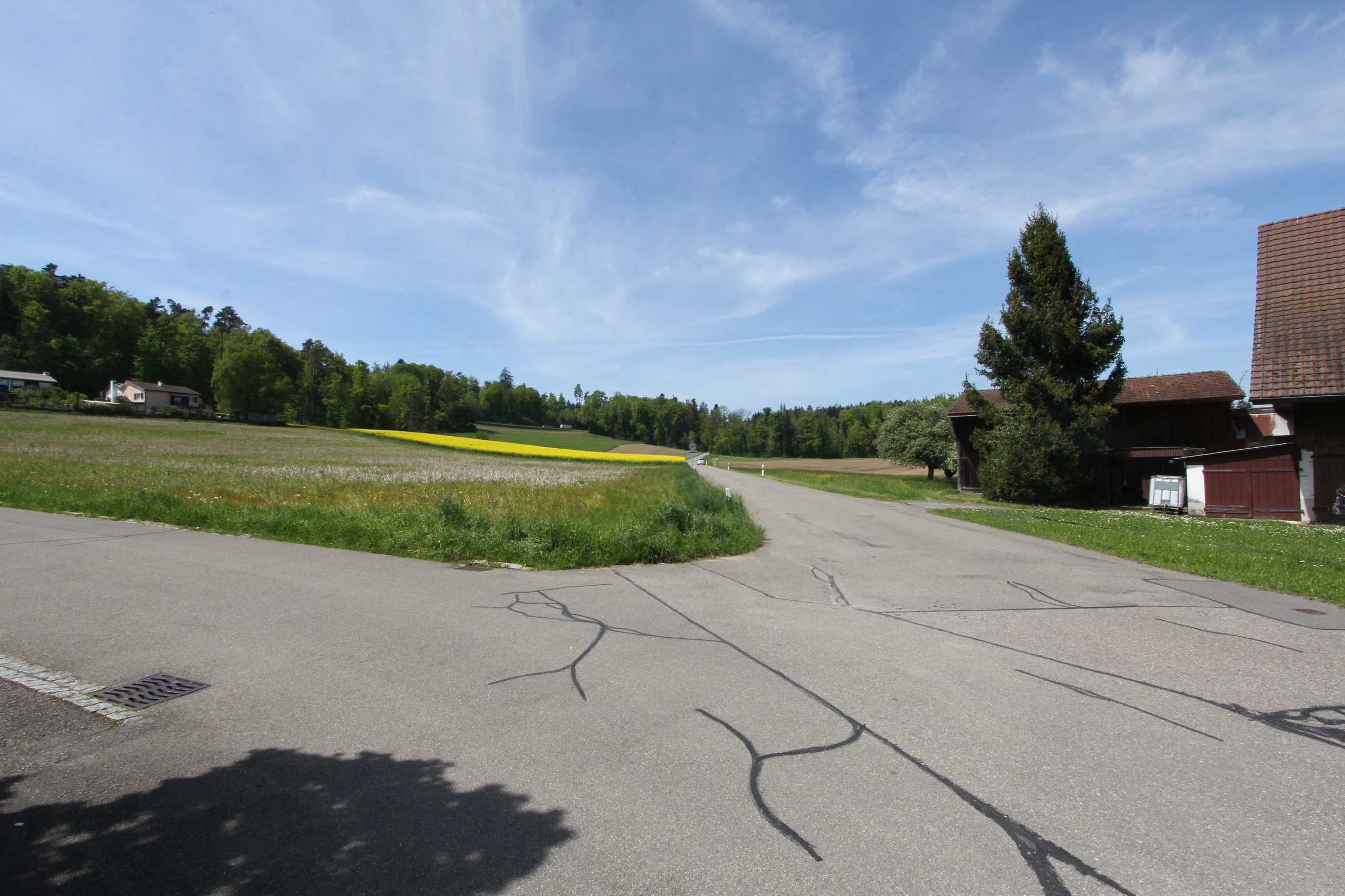 Zufahrt von Dielsdorf 