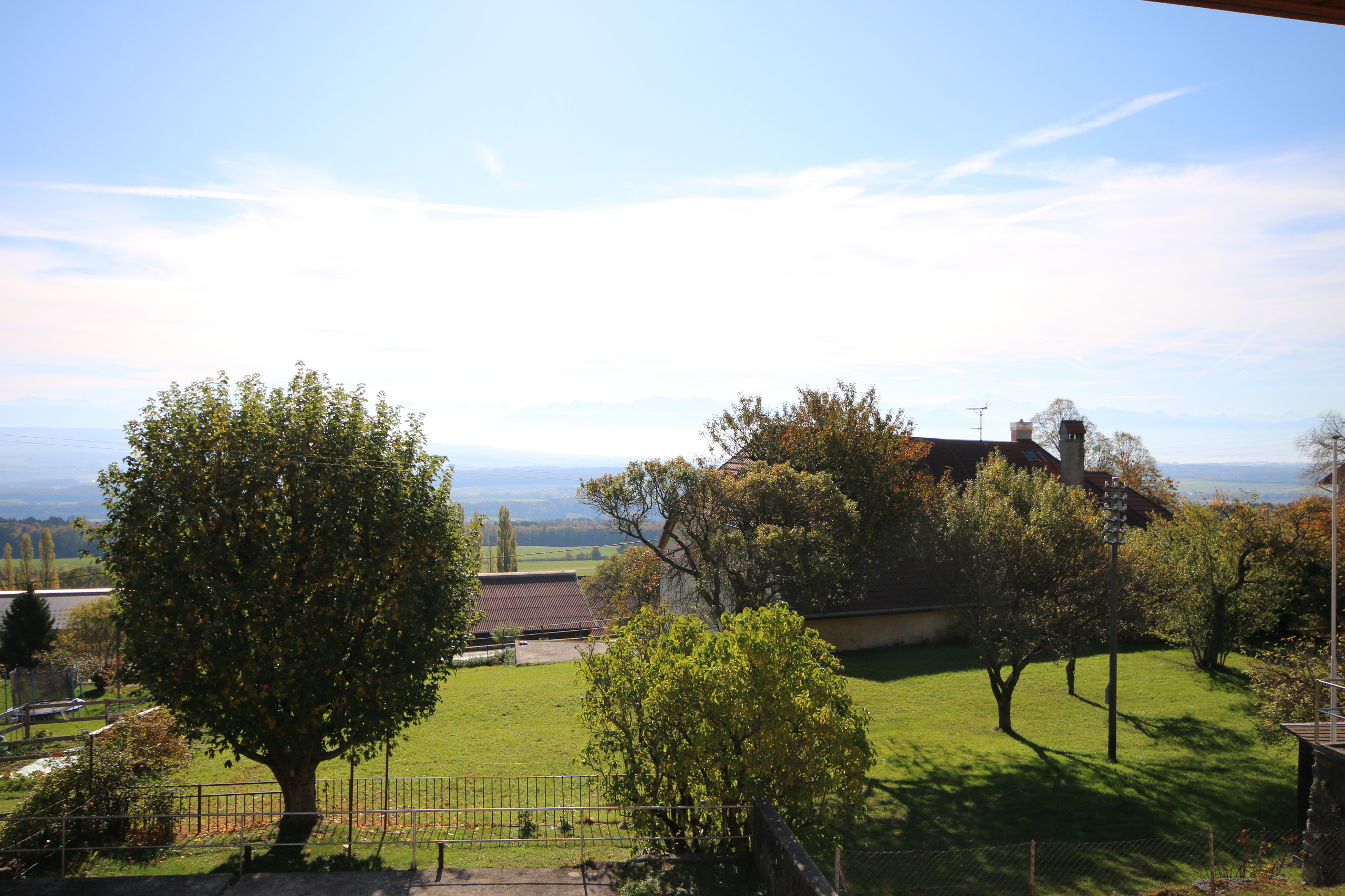 Firstview