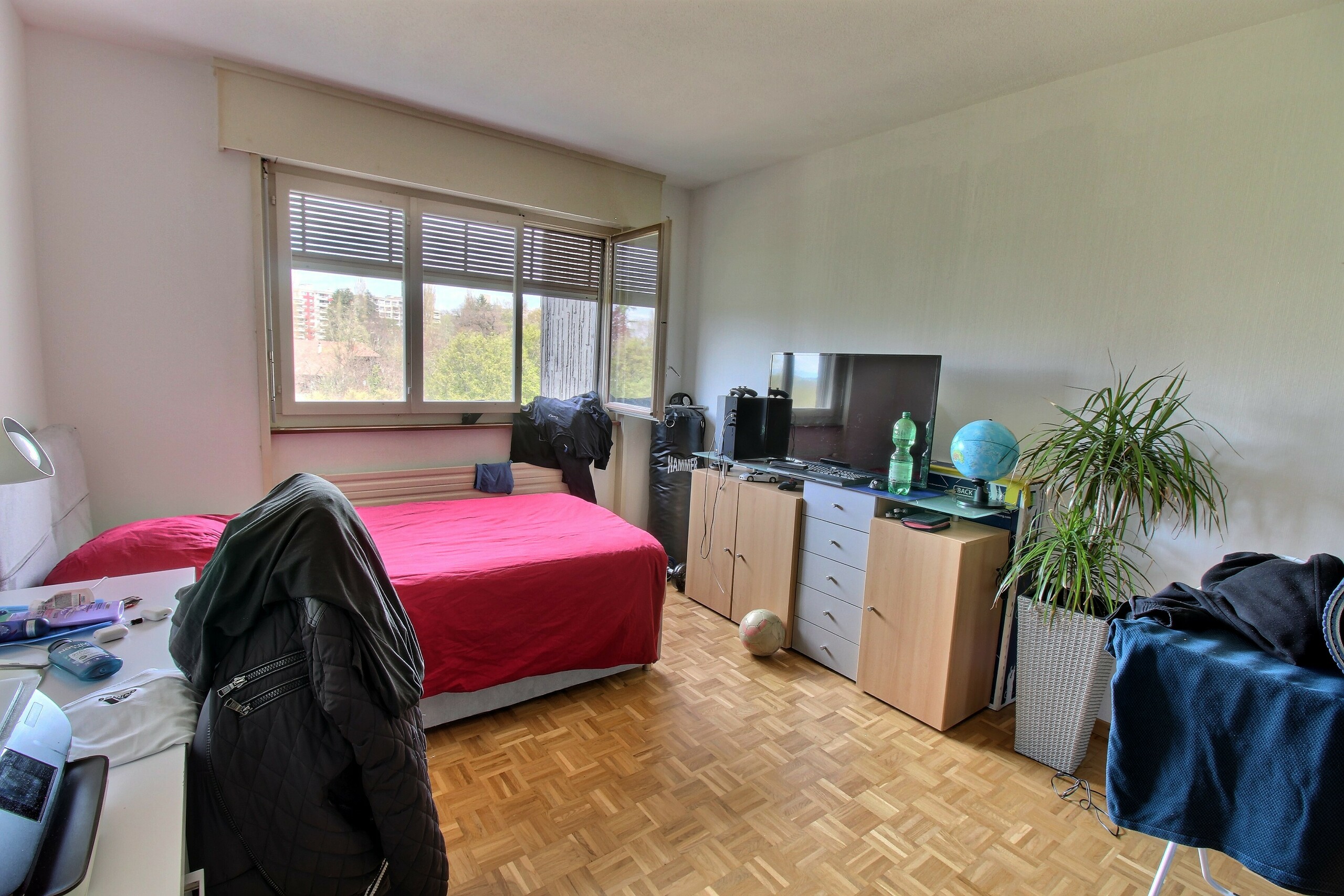 Photo 6