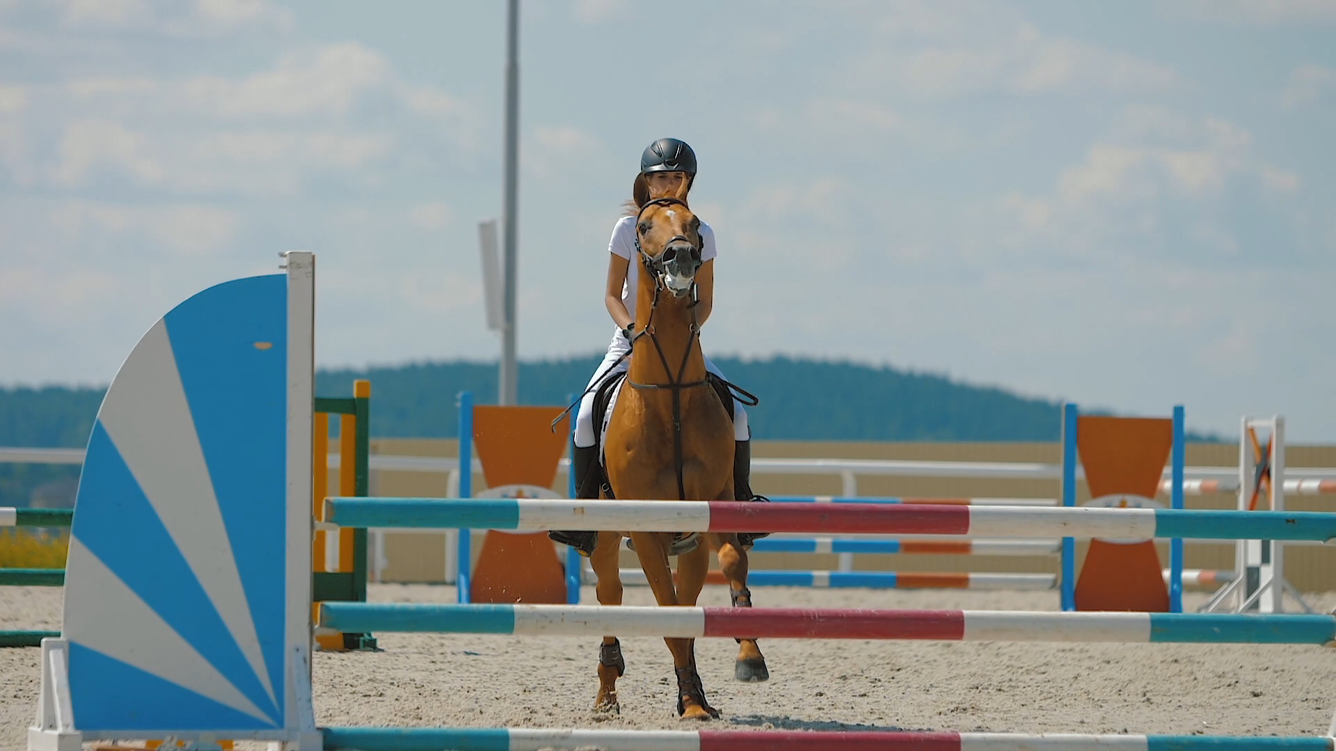 Nombreuses activités équestres 