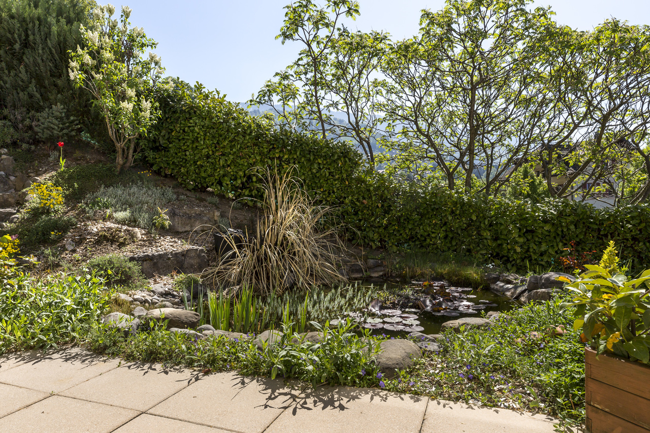 Etang extérieur Etang extérieur