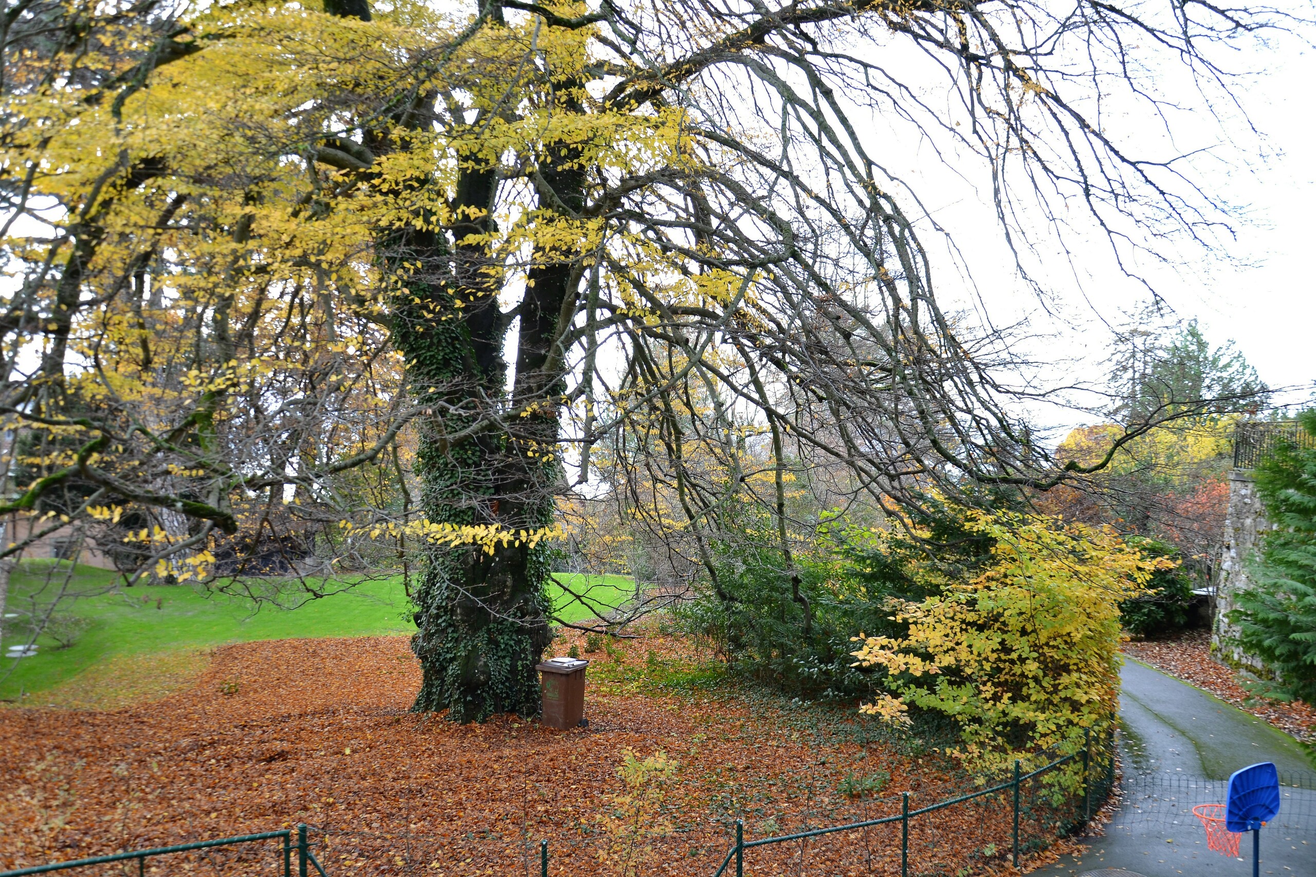 Immagine di copertina