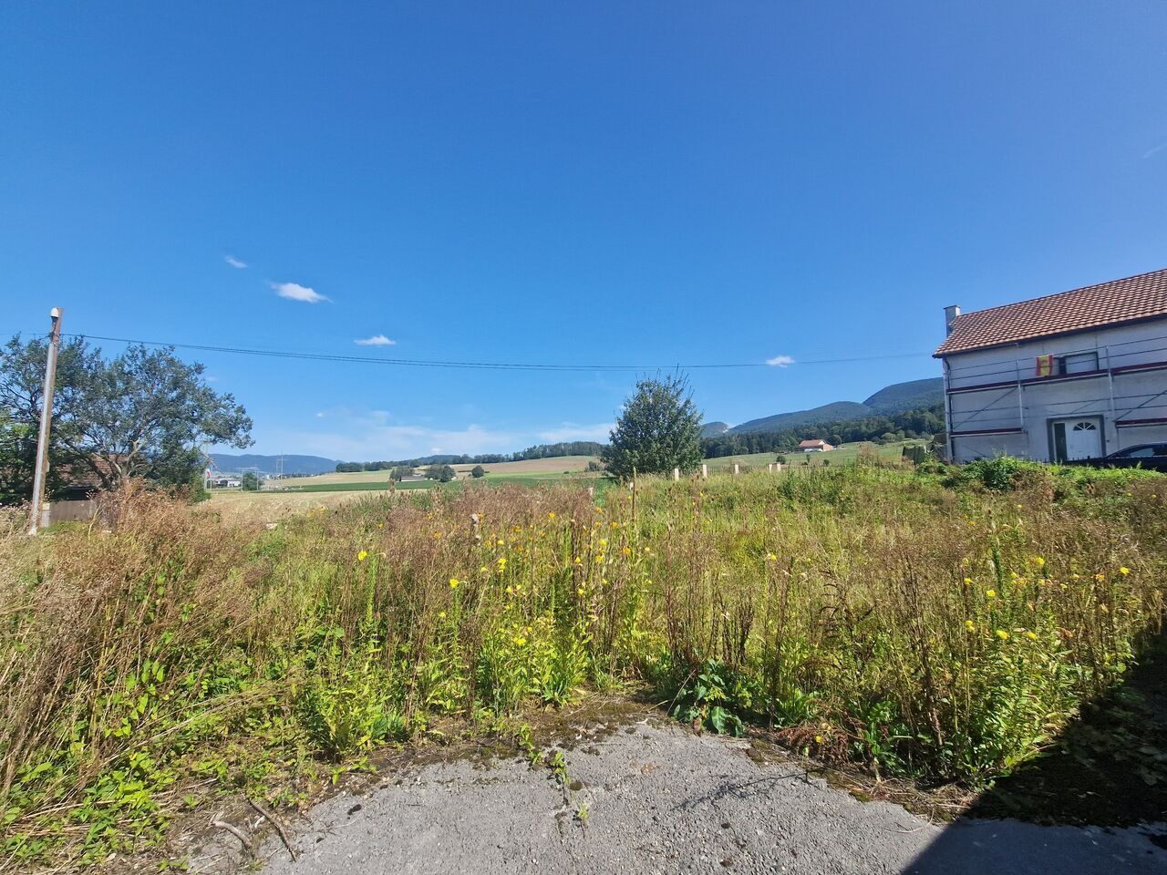 Foto 11