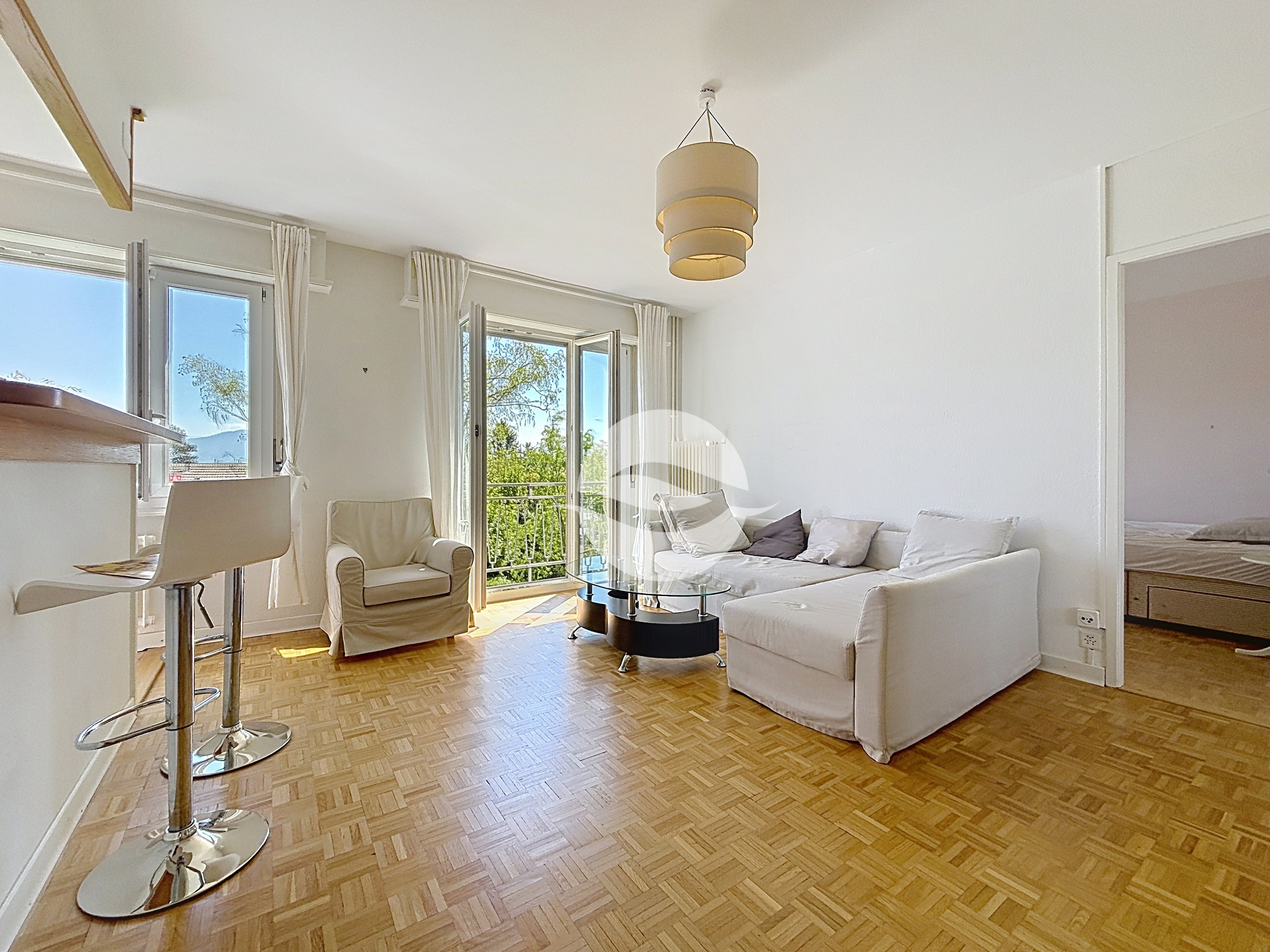 Grand salon lumineux