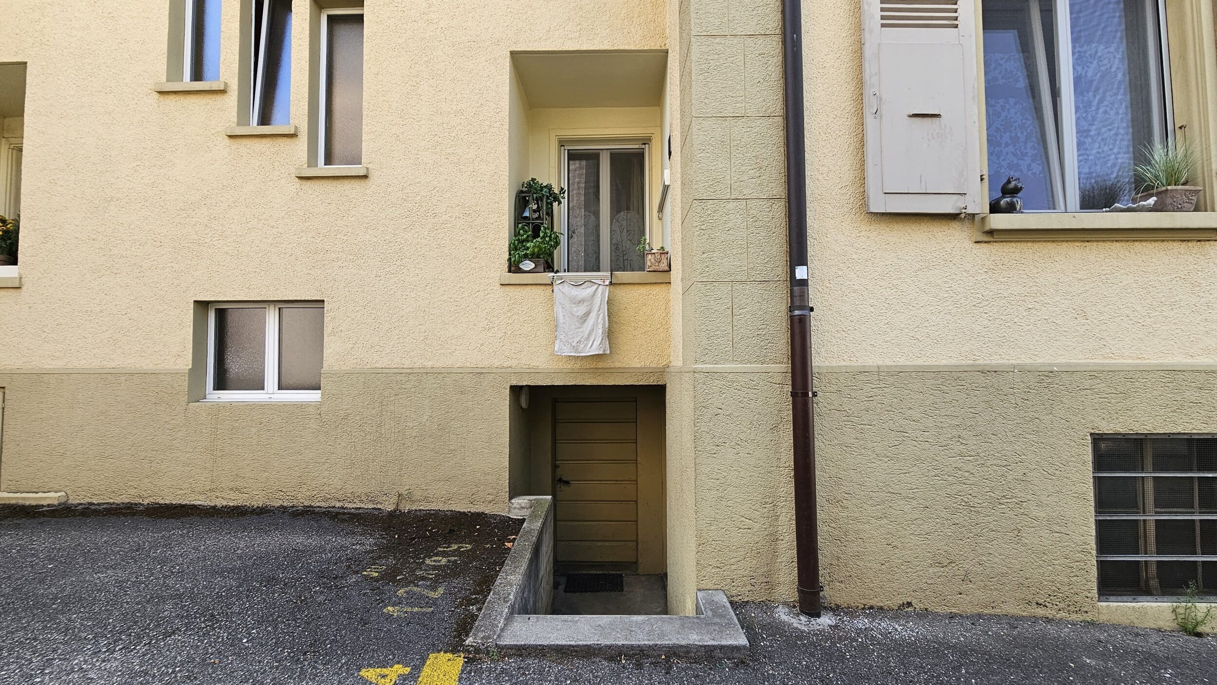 Picture 4