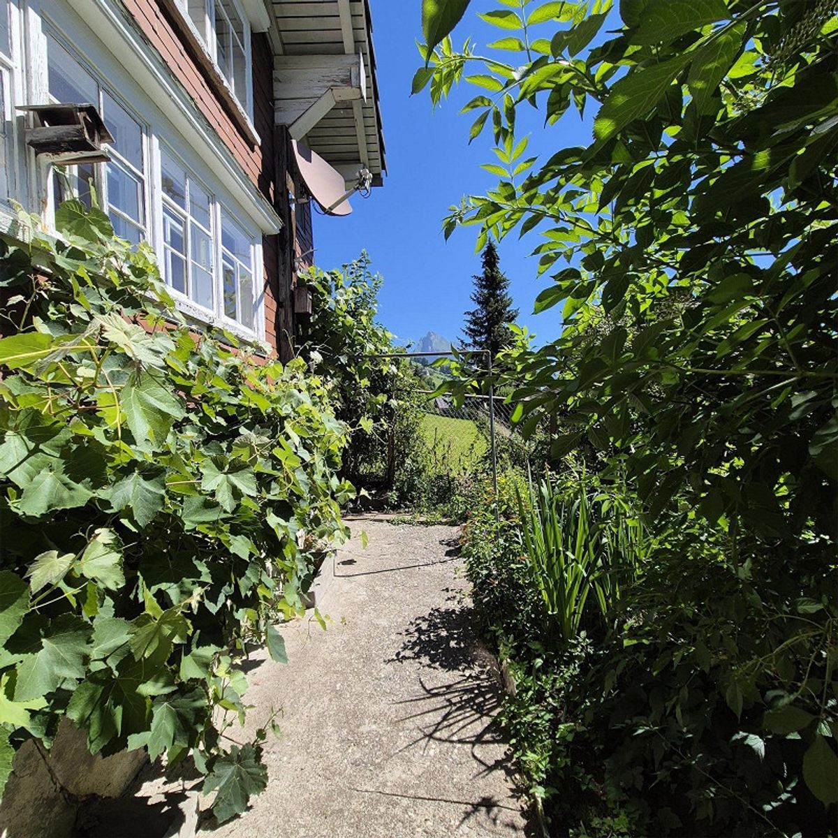 Photo 20