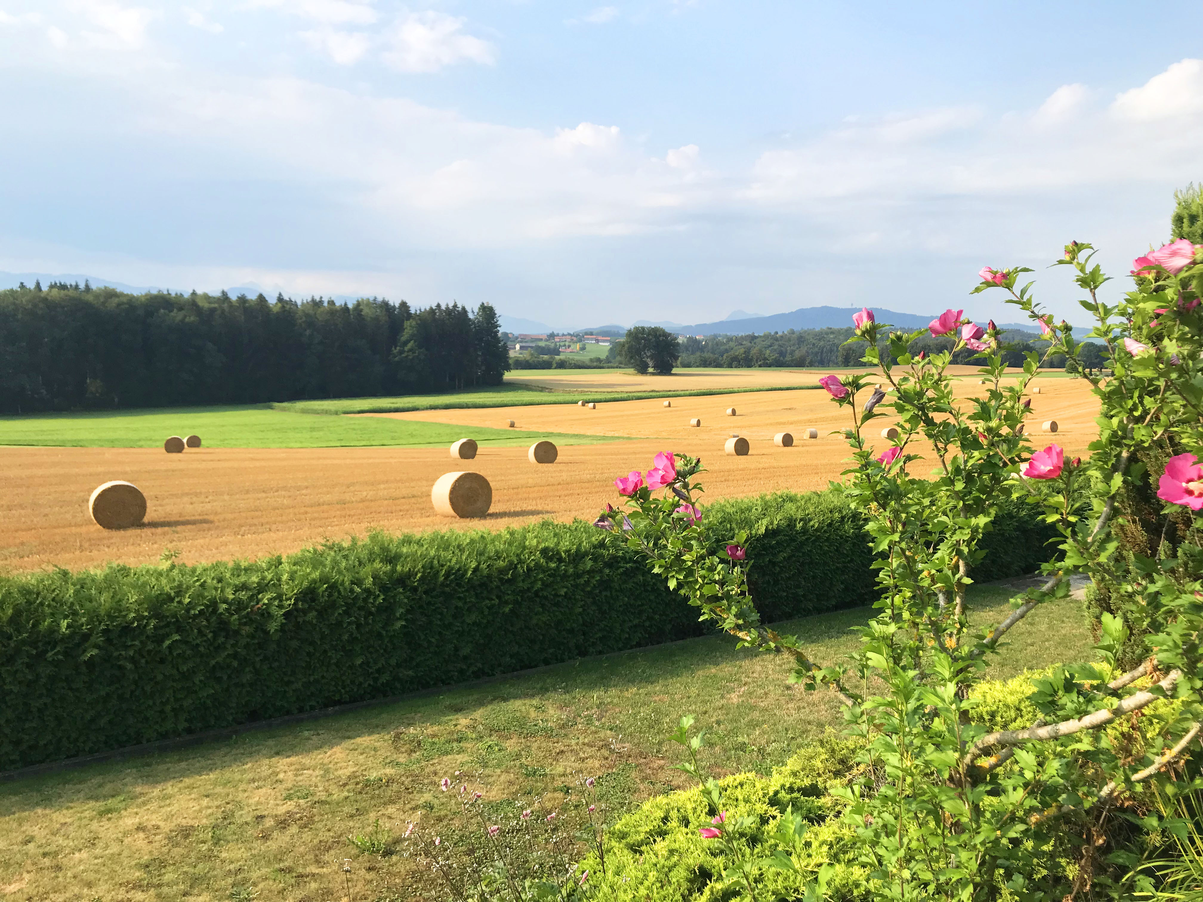 CNC IMMOBILIER SA - Témoignages 