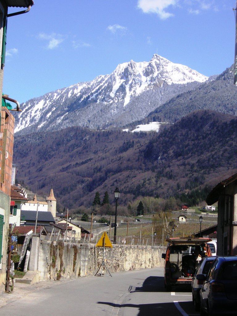 Photo 2
