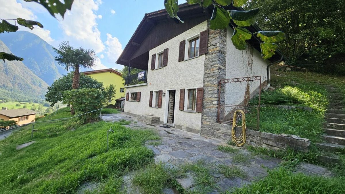 Foto 1