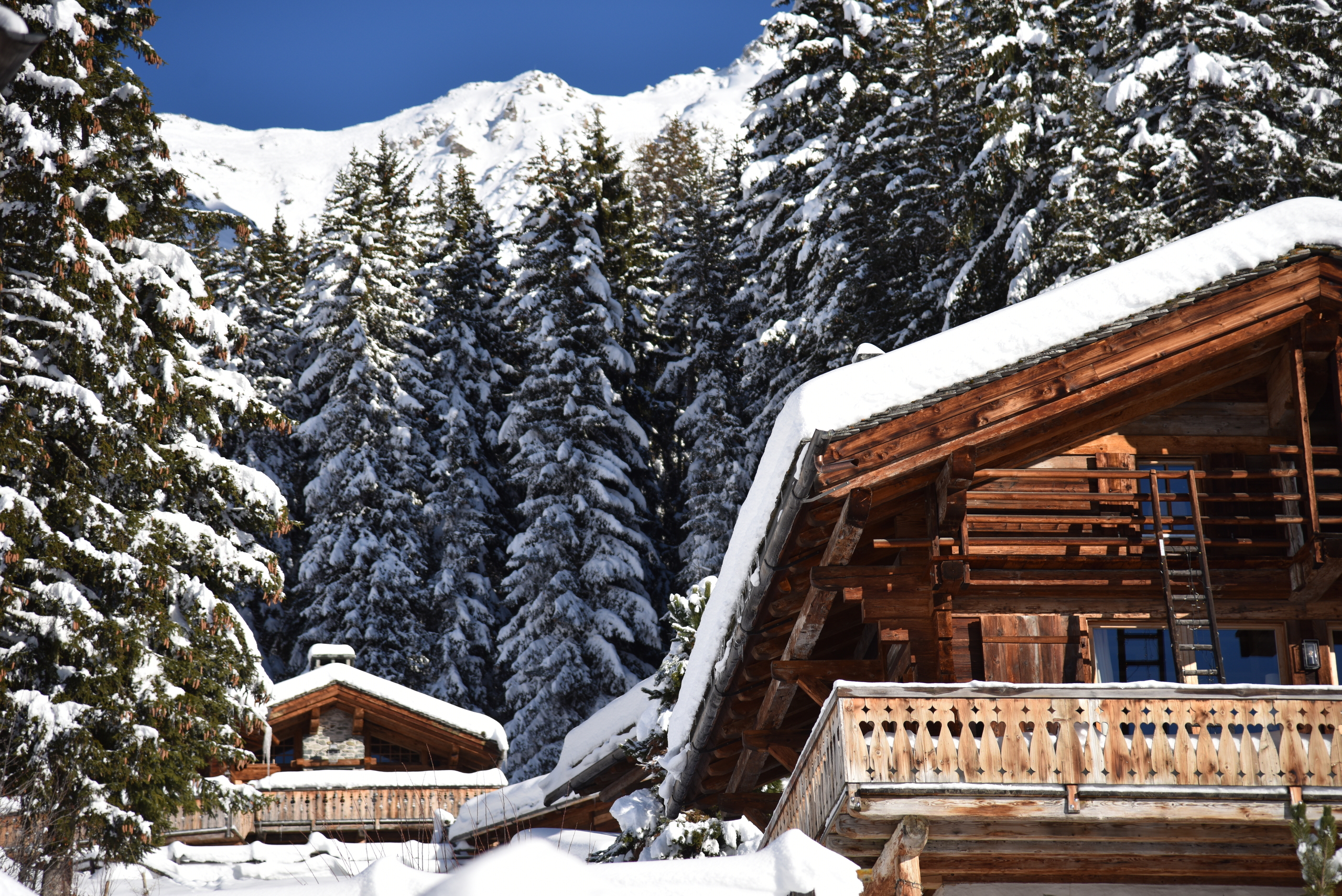 Exterior chalet and snowy forest view – Off Market Chalet Verbier